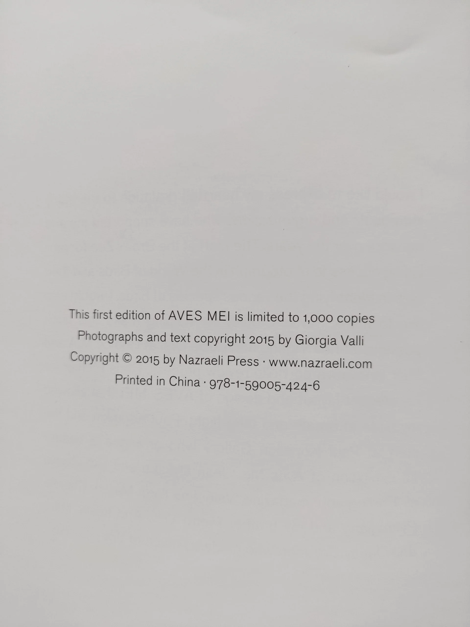 AVES MEI - Image 7