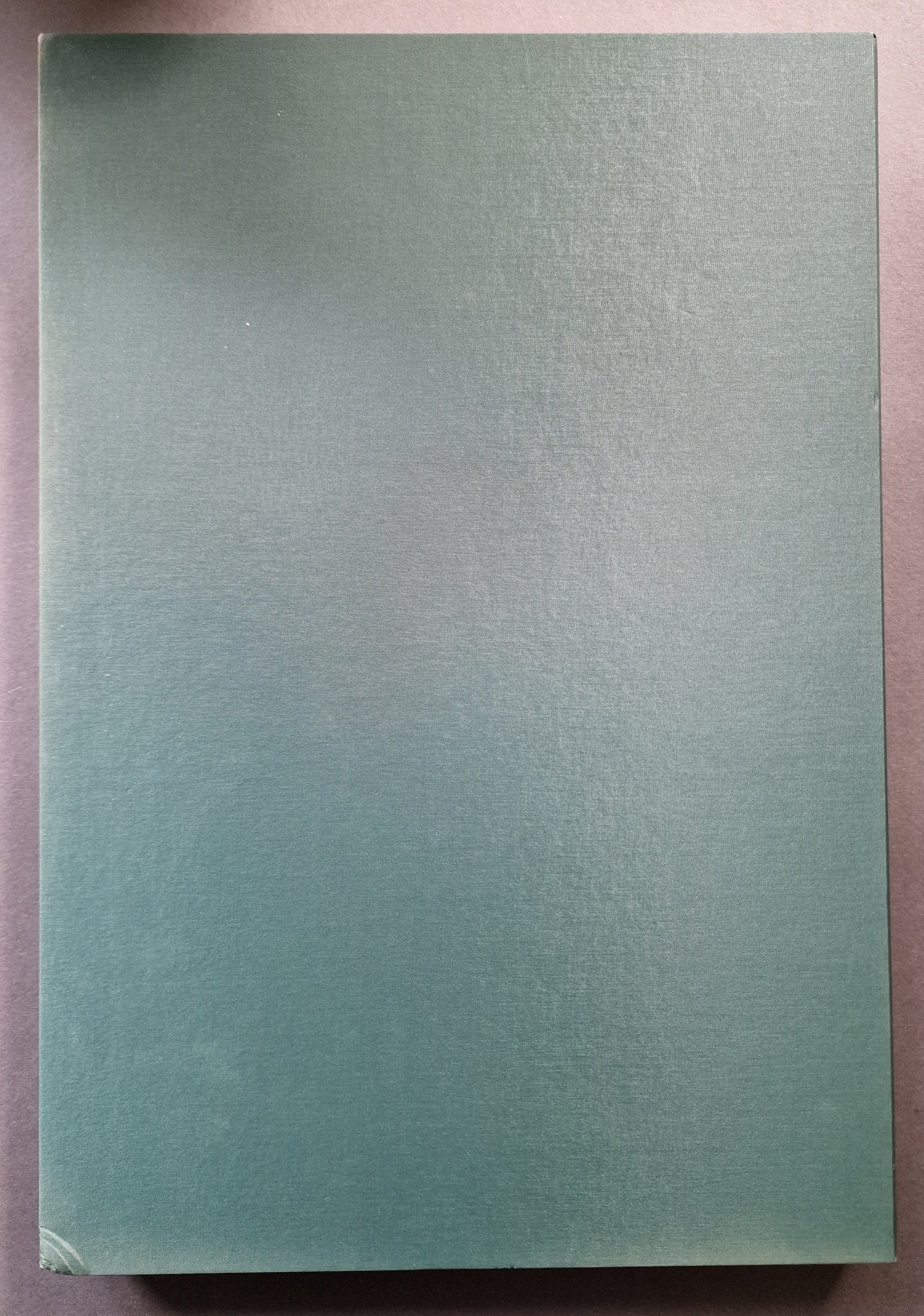 Aves Mei (Special slipcased edition with print) - Image 12