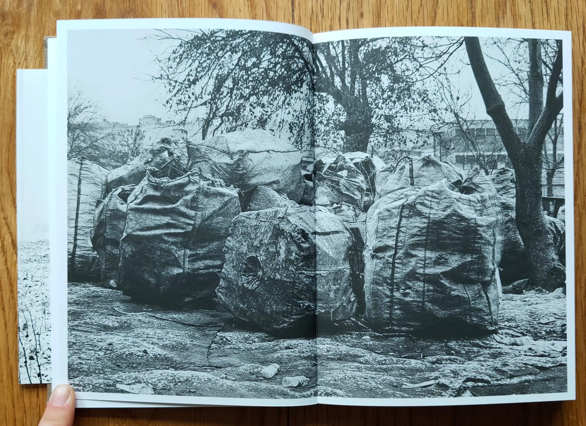 Away From Home - Image 5