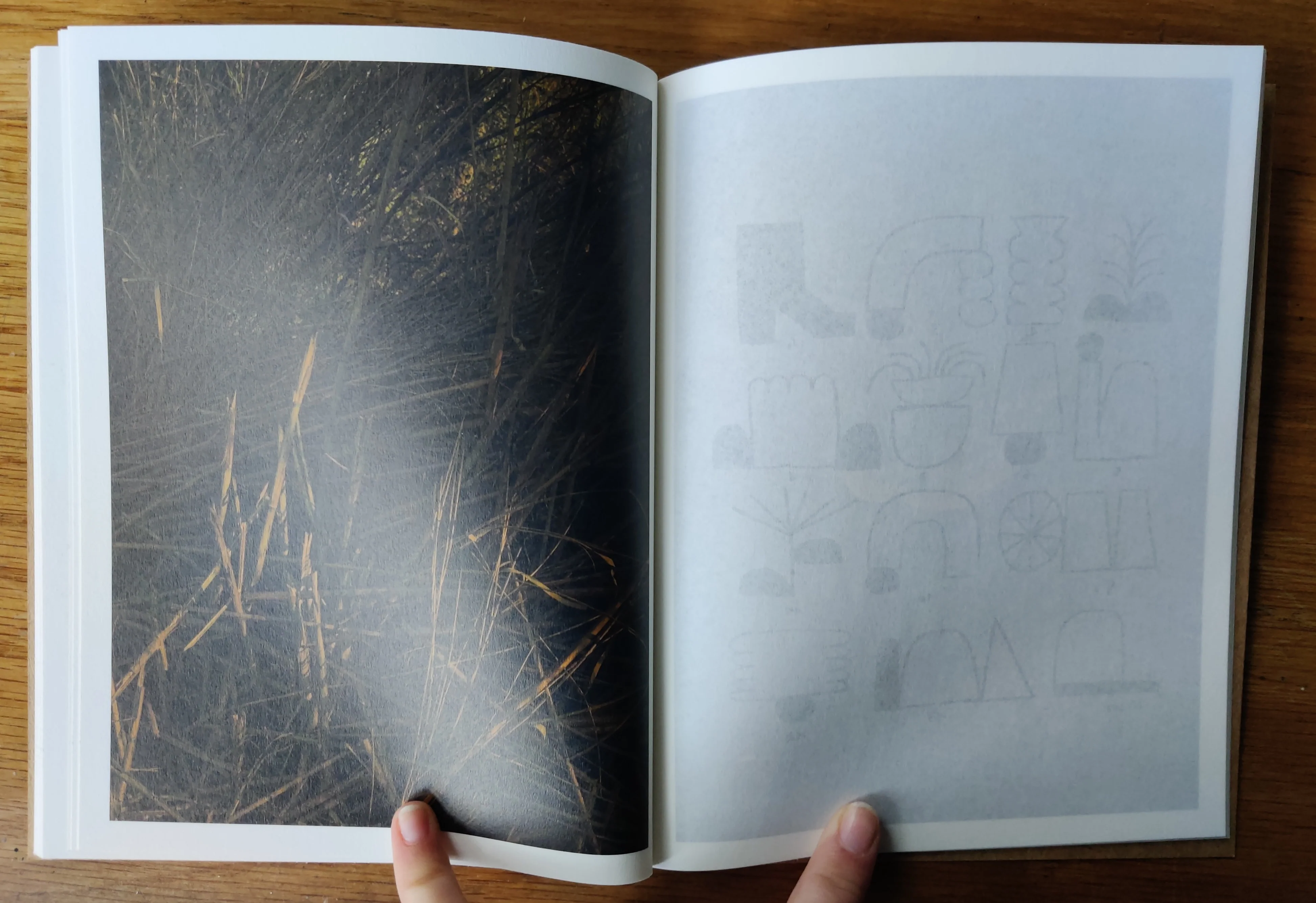 Ballad of Woods and Wounds - Image 5