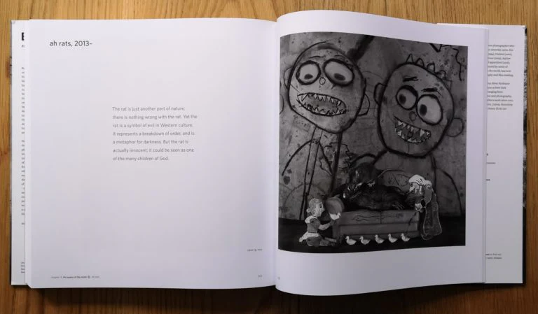 Ballenesque, Roger Ballen: A Retrospective - Image 4