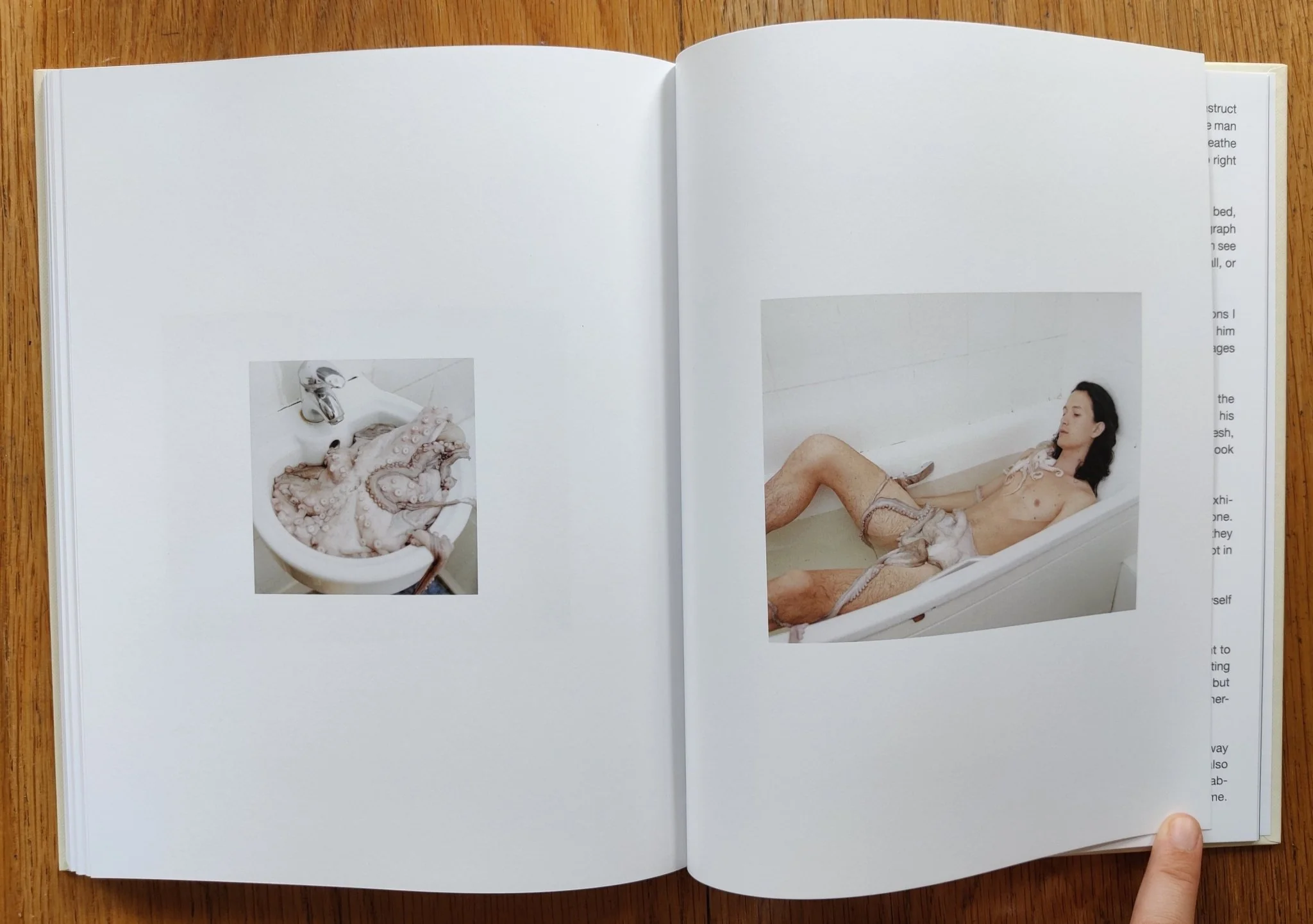 Baroness - Image 7