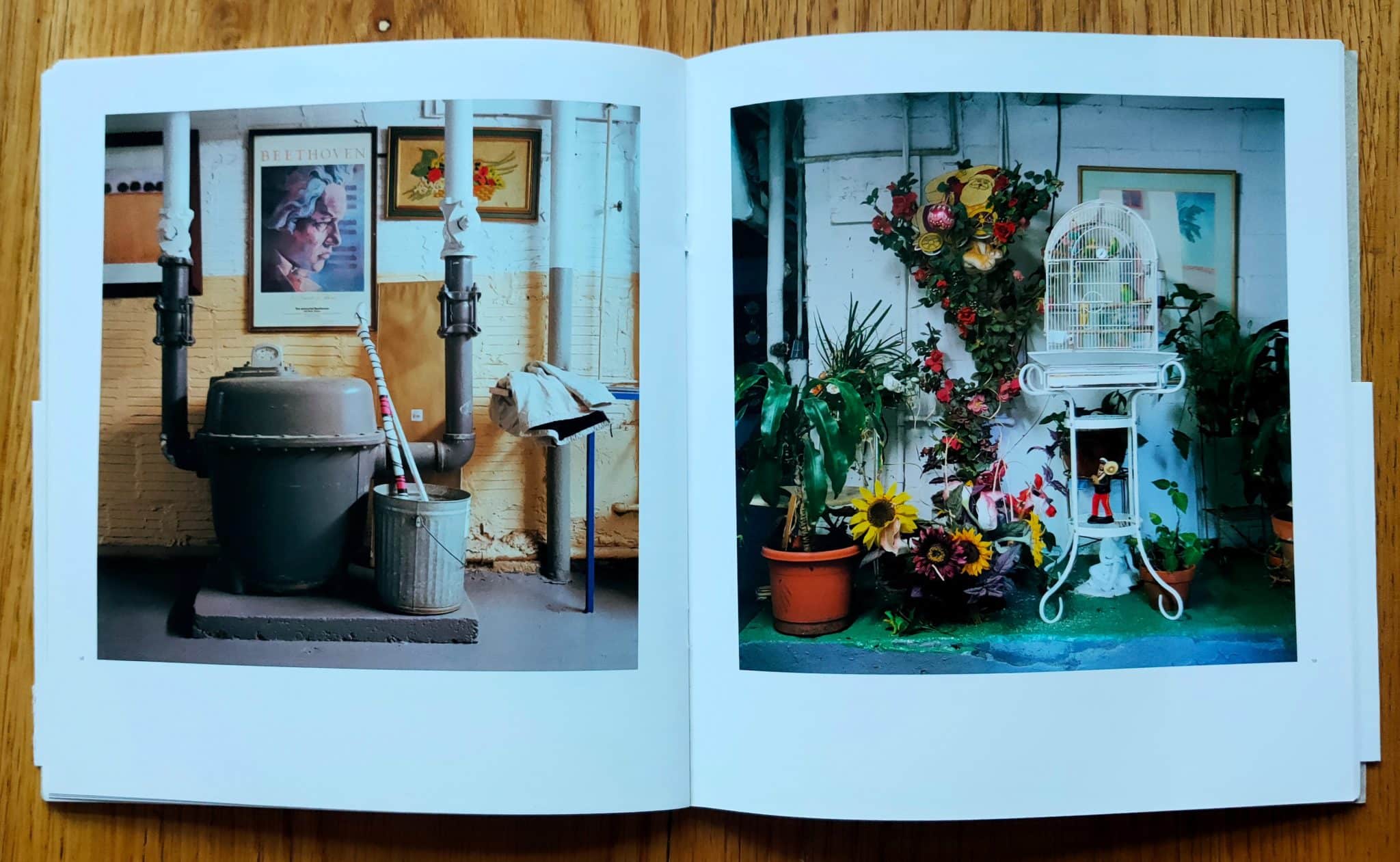 Basement Sanctuaries - Image 7