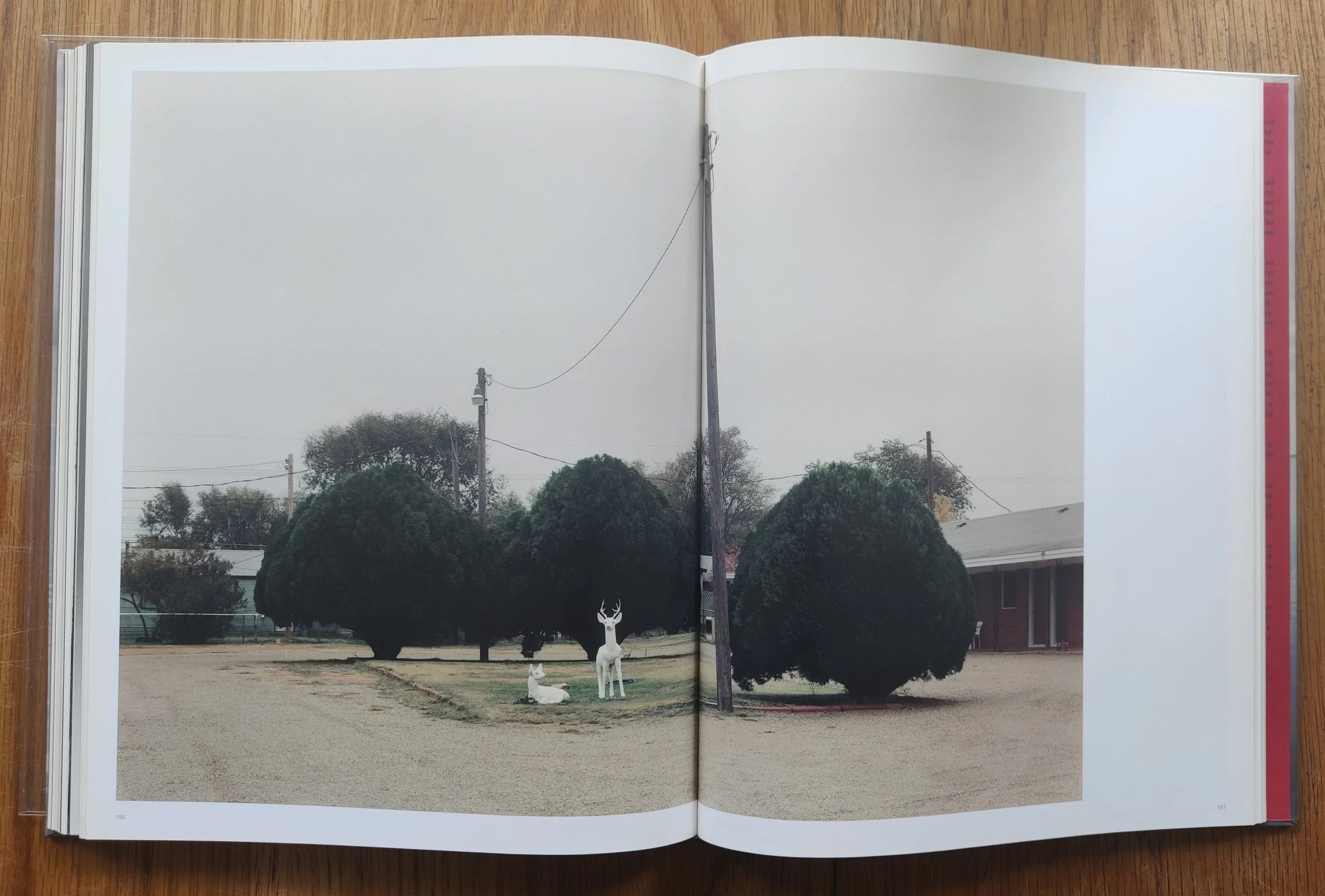 Beauty's Nothing - Image 7