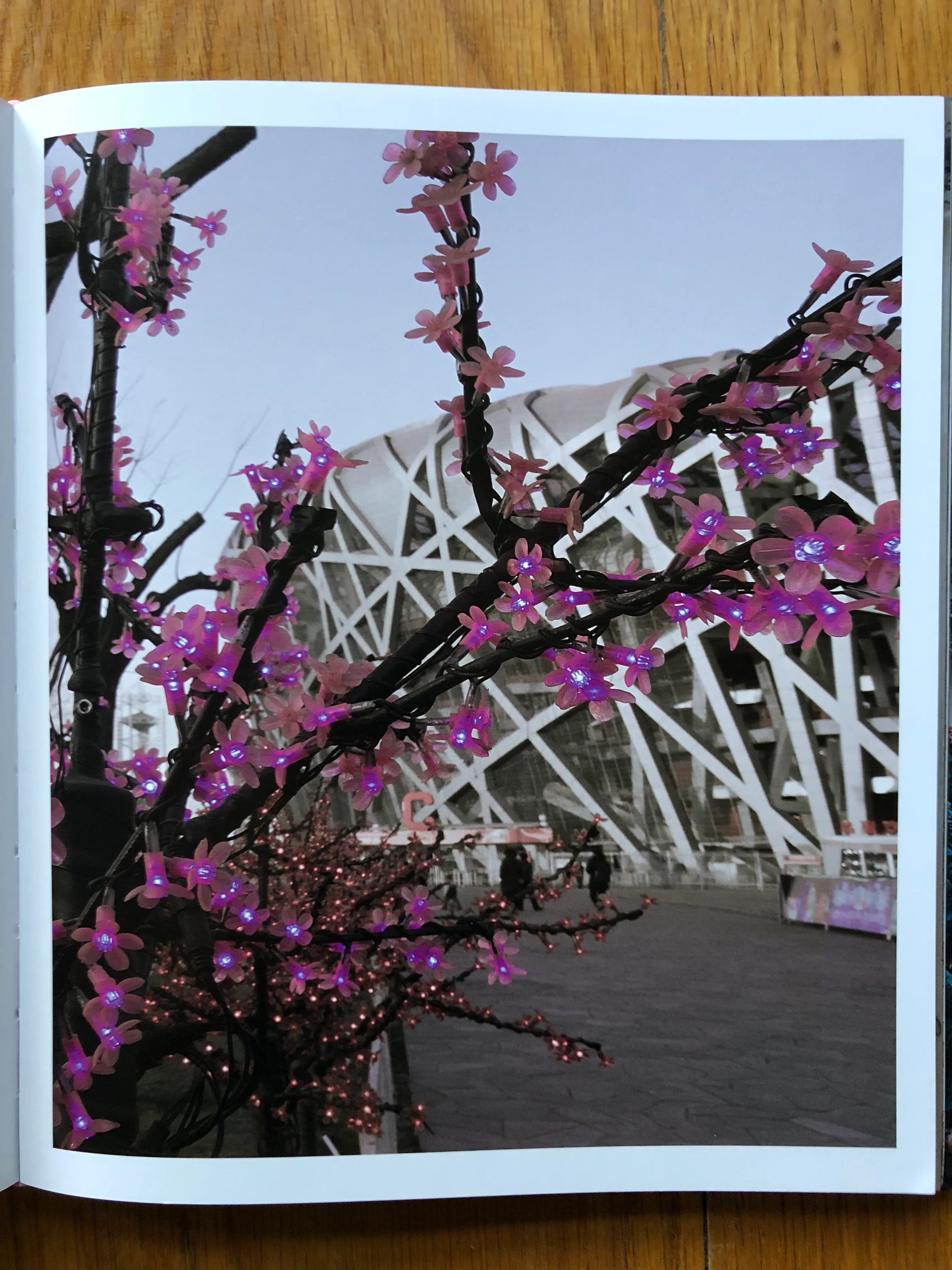 Beijing Overshoot - Image 7