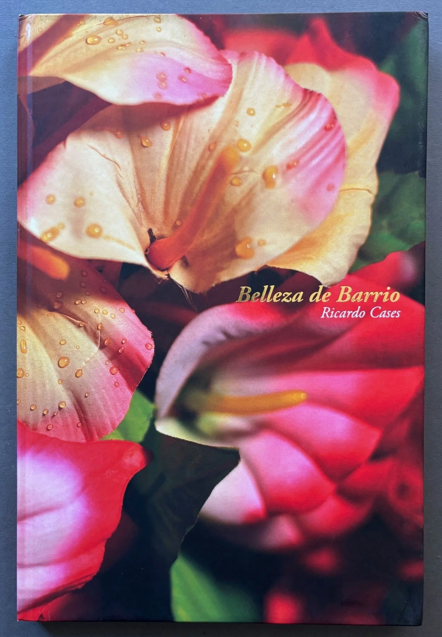 Belleza de Barrio