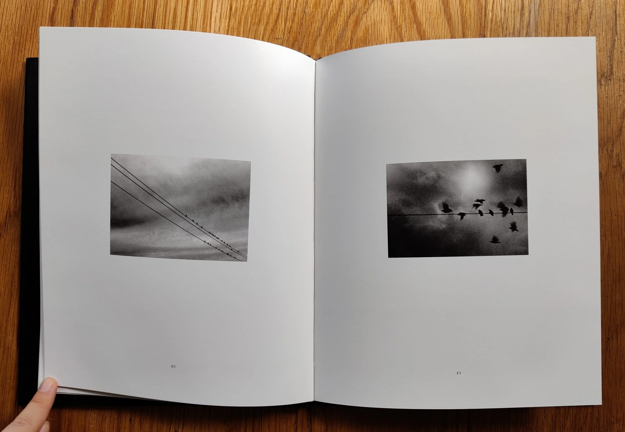 Benevolent Pleasures of Sight - Image 4
