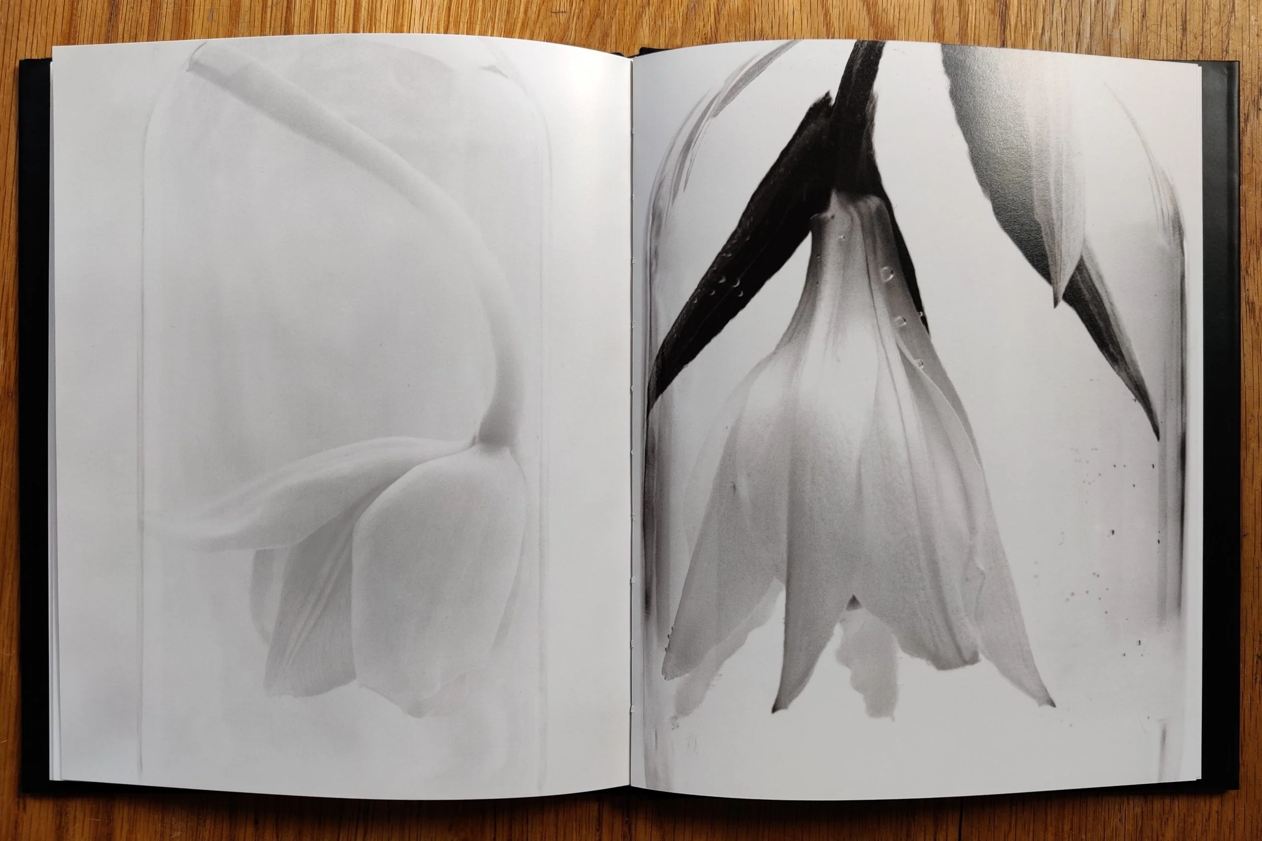 Benevolent Pleasures of Sight - Image 5