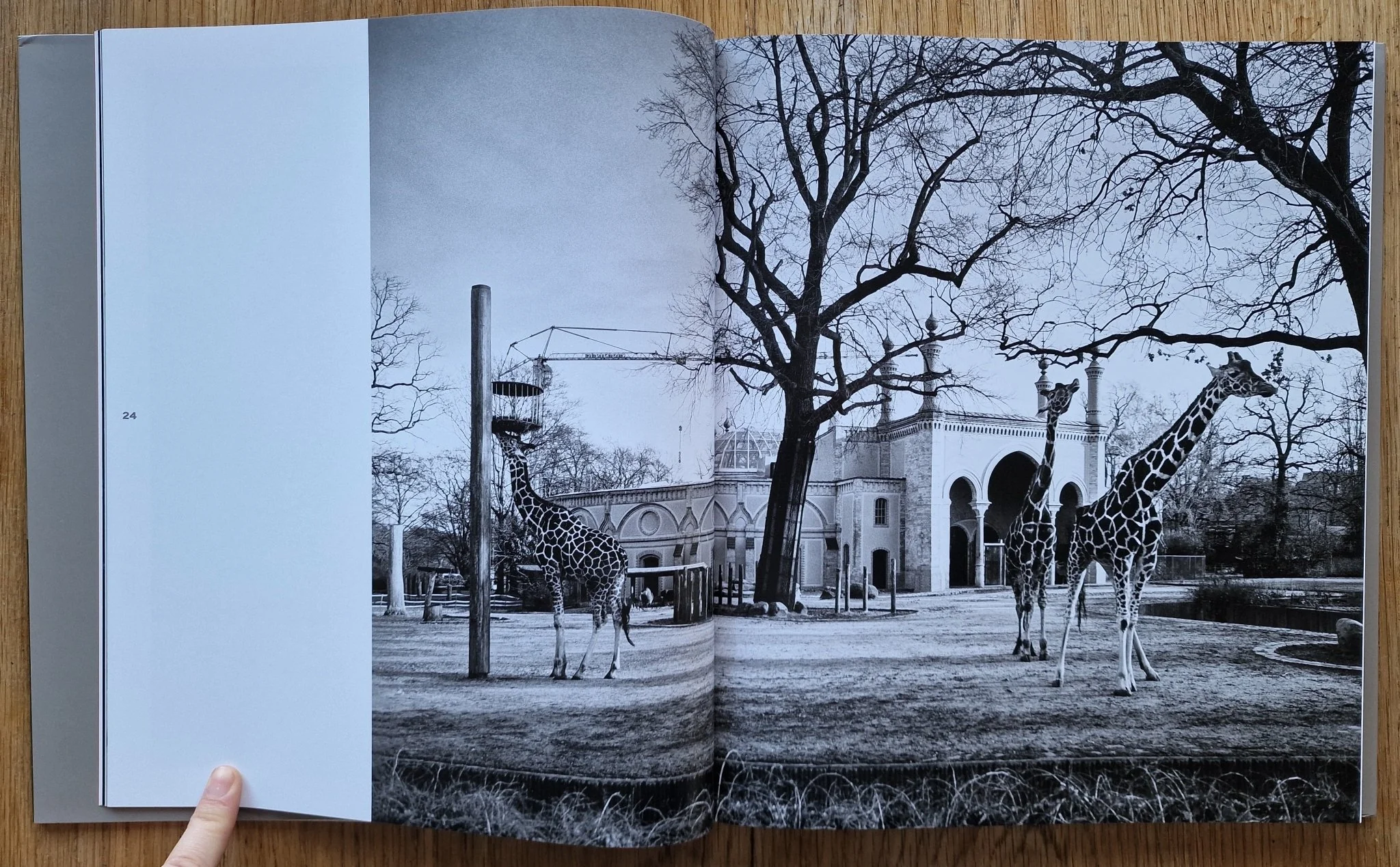 Berlin - Image 4