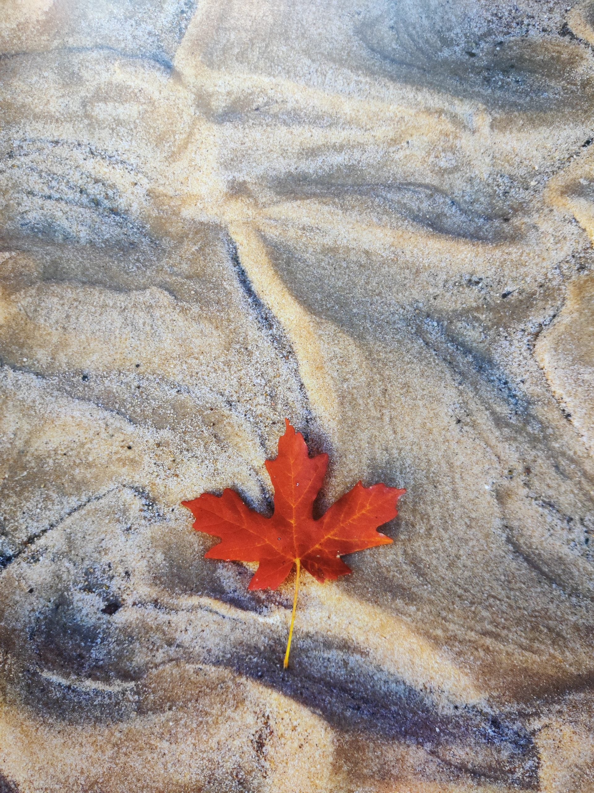 Between the Wind - Image 6