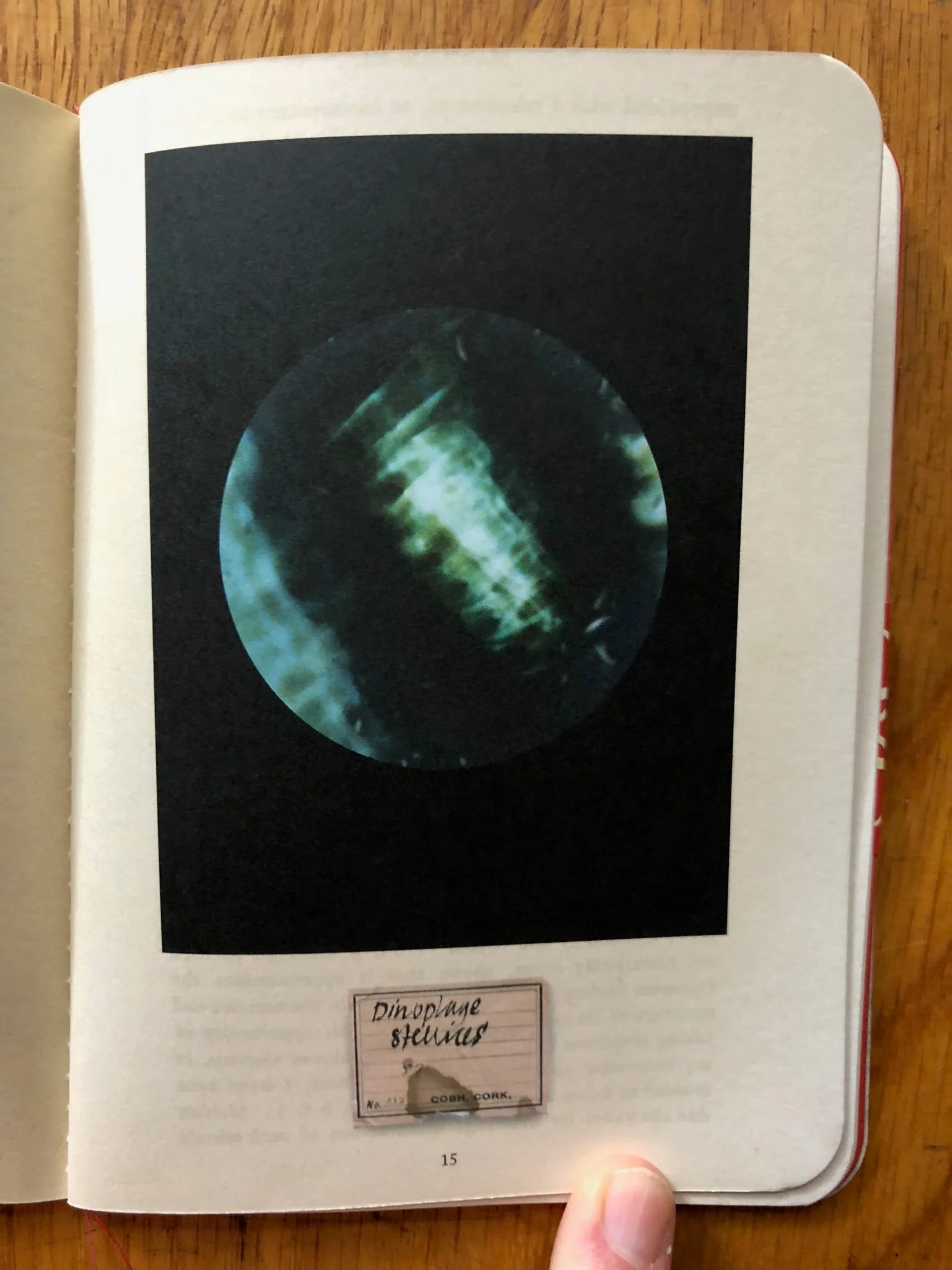 Beyond Drifting: Digest Edition - Image 5