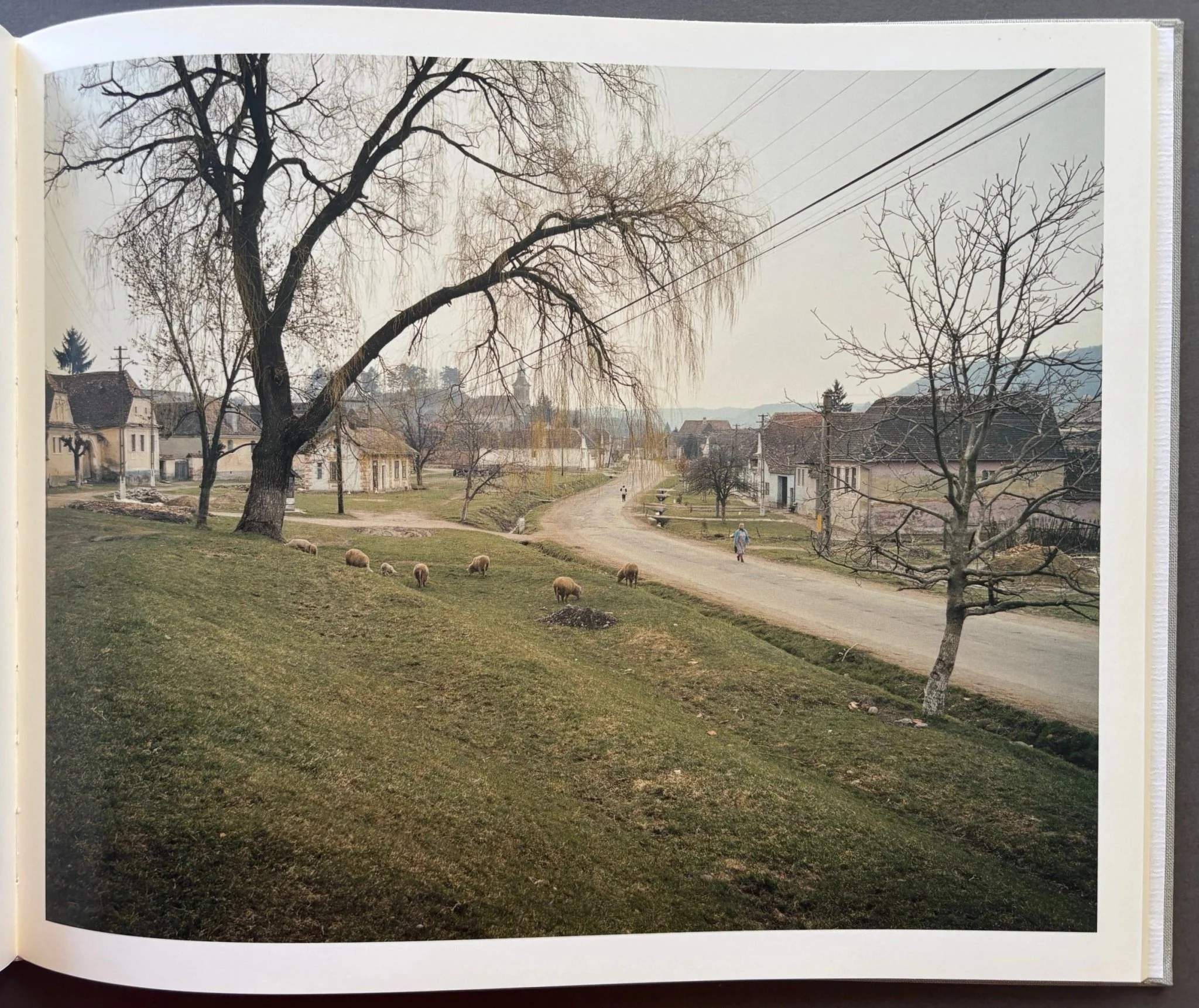 Beyond the Forest - Image 3