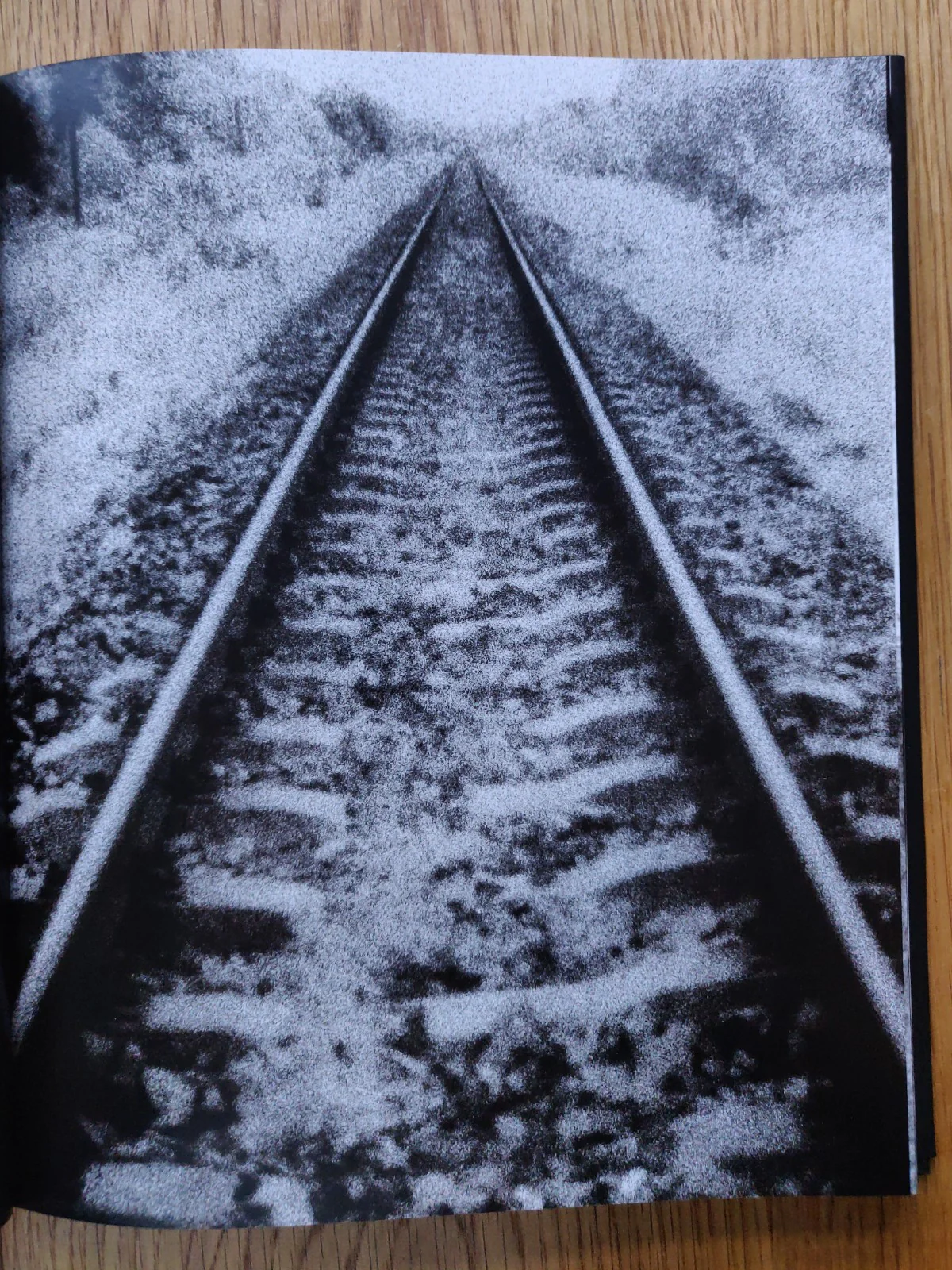 Beyond The Shadows: The Holocaust and the Danish Exception - Image 3
