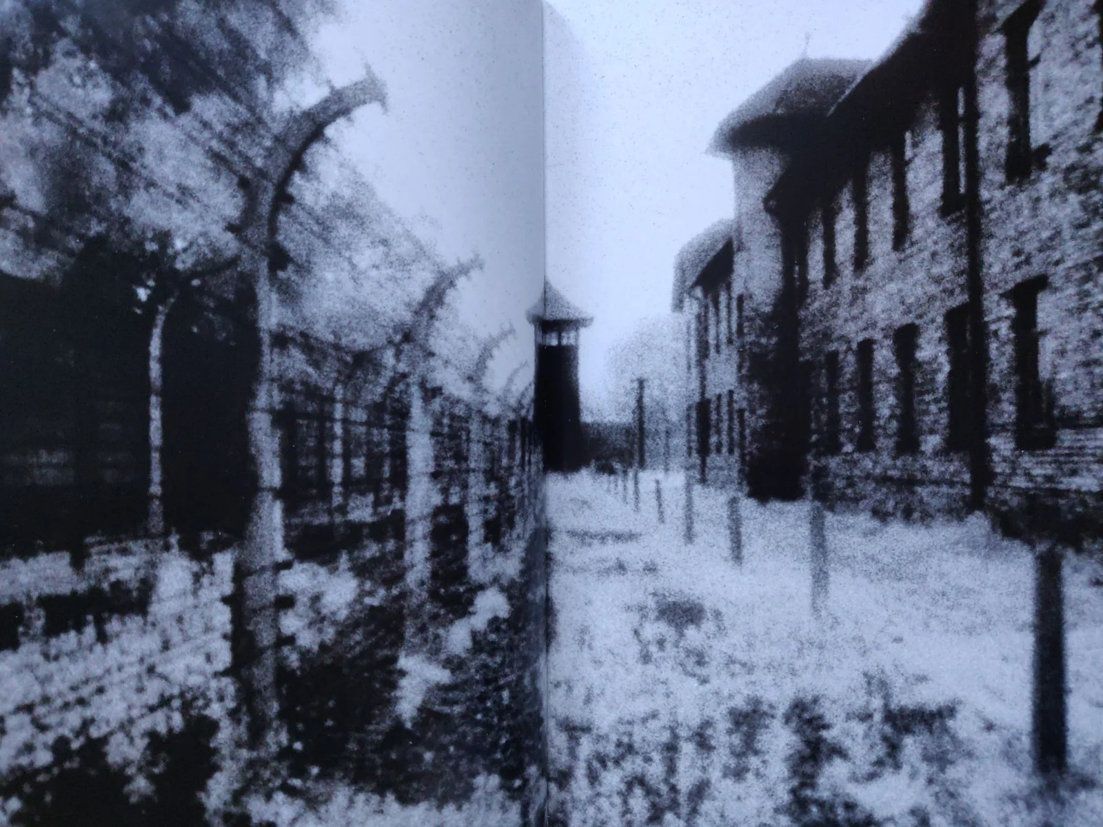 Beyond The Shadows: The Holocaust and the Danish Exception - Image 4