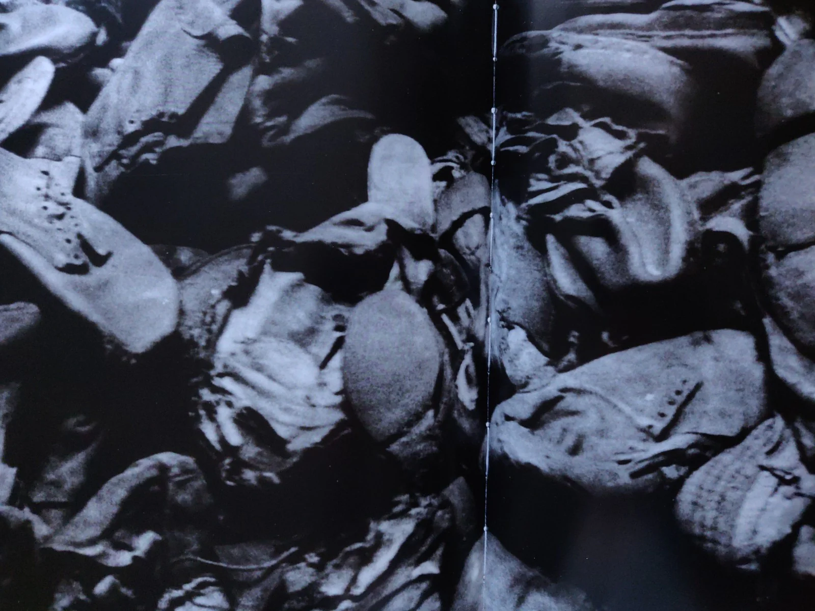 Beyond The Shadows: The Holocaust and the Danish Exception - Image 5