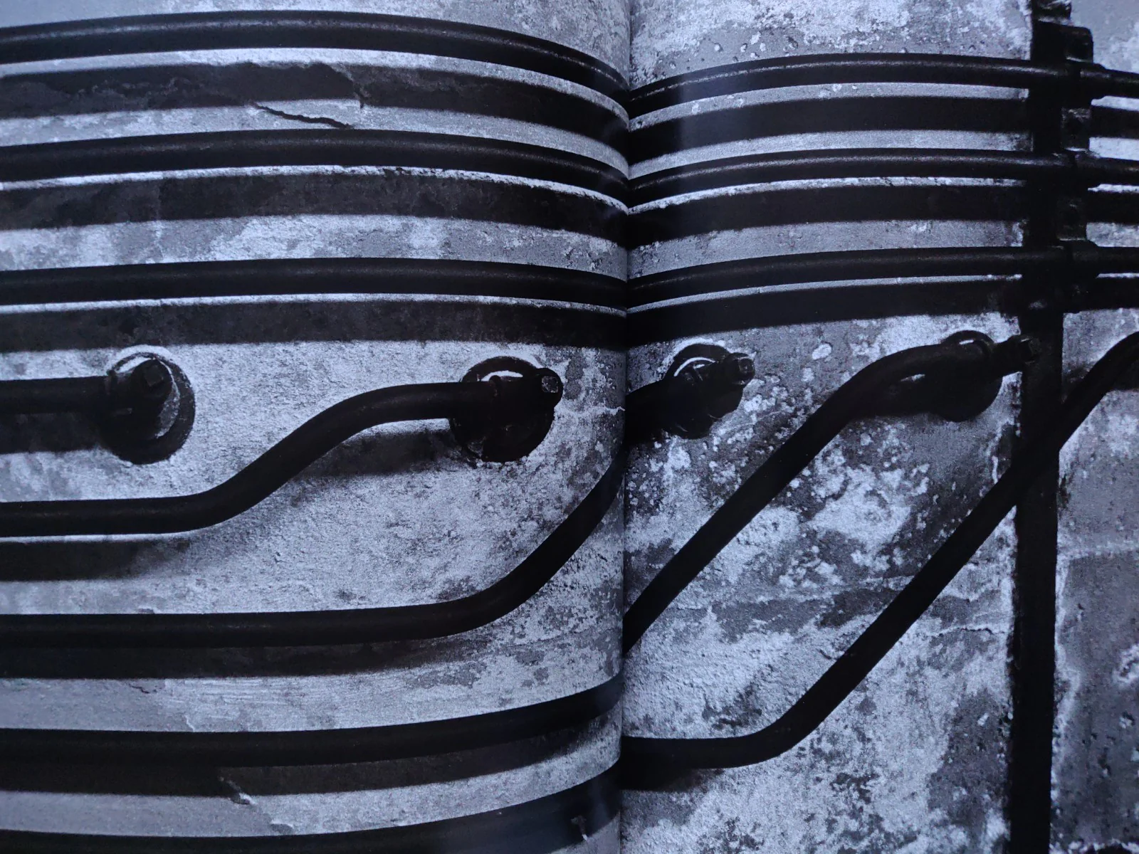 Beyond The Shadows: The Holocaust and the Danish Exception - Image 8