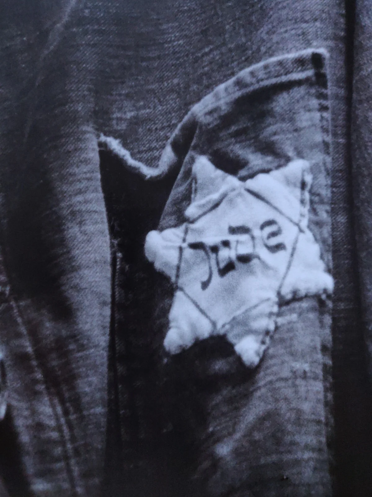 Beyond The Shadows: The Holocaust and the Danish Exception - Image 9
