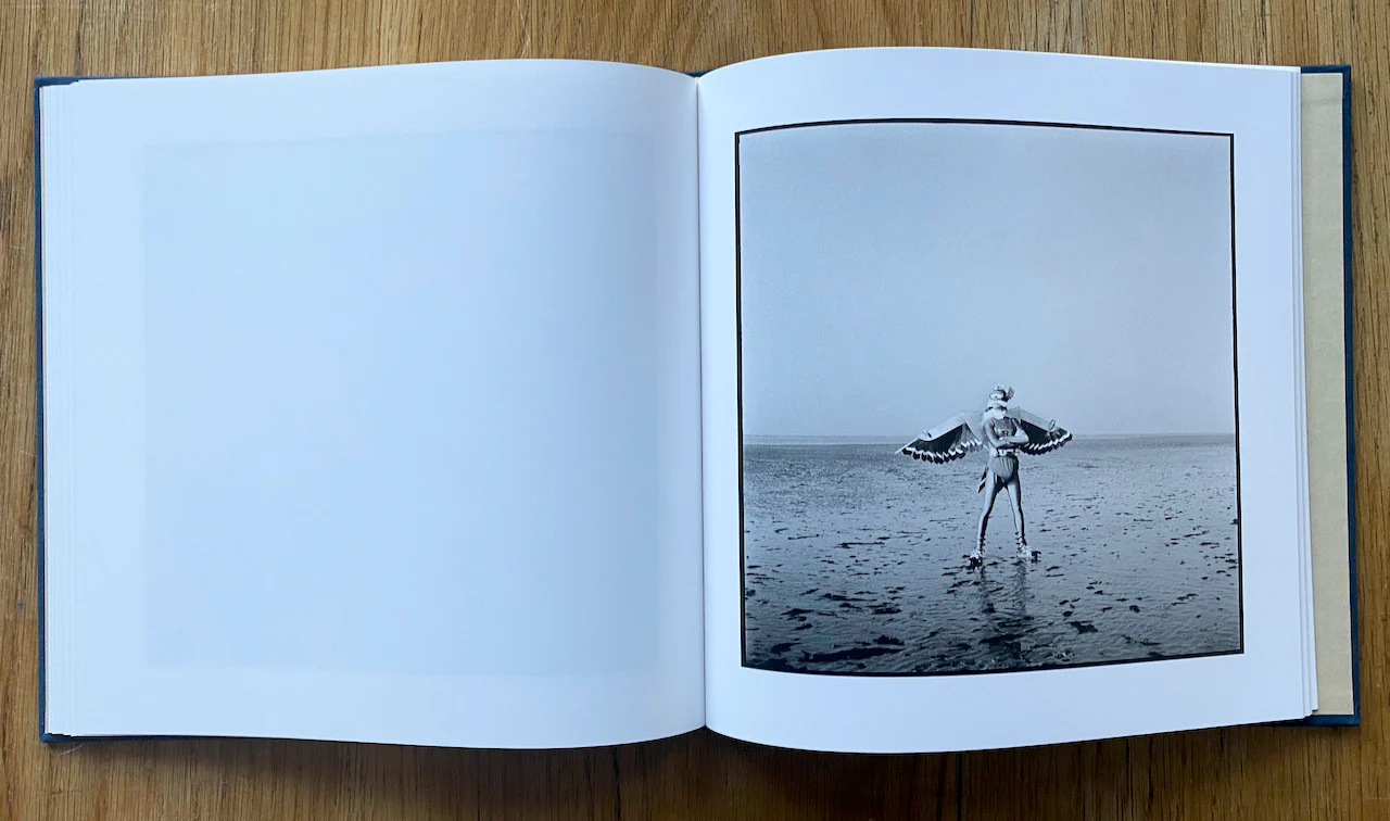 Birdmen - Image 8