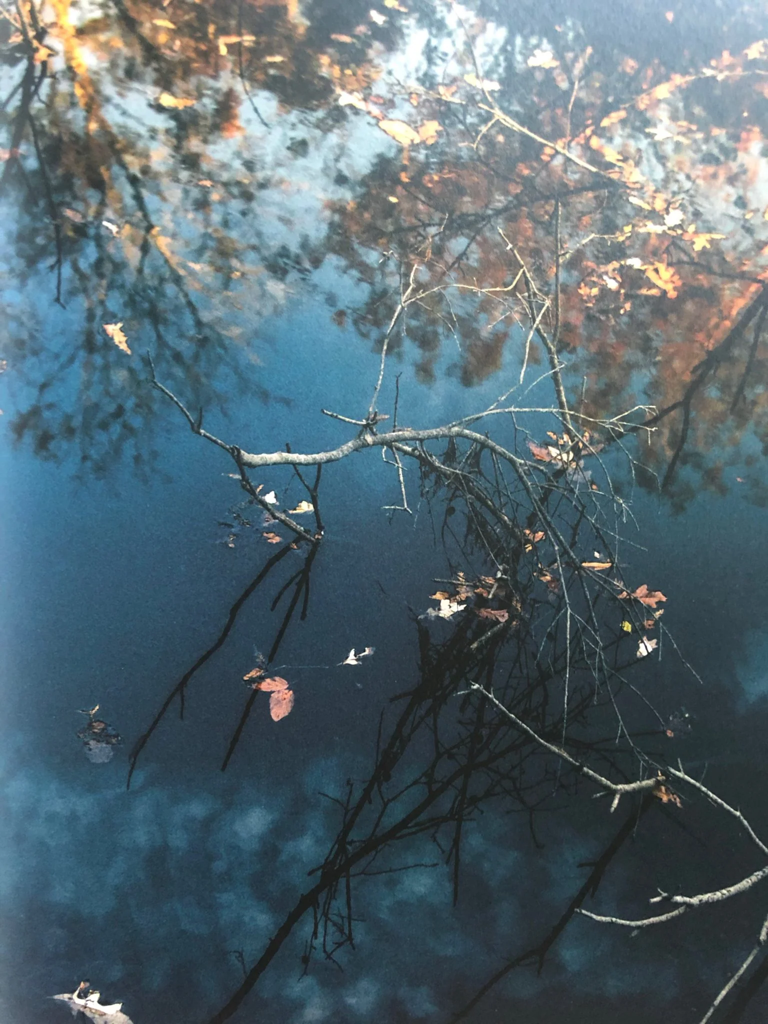 Blackwater River - Image 6
