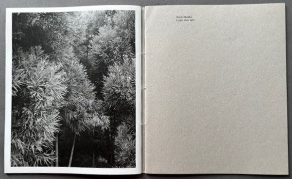 Blanco - Image 4
