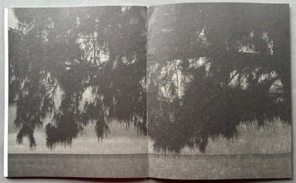 Blanco - Image 5