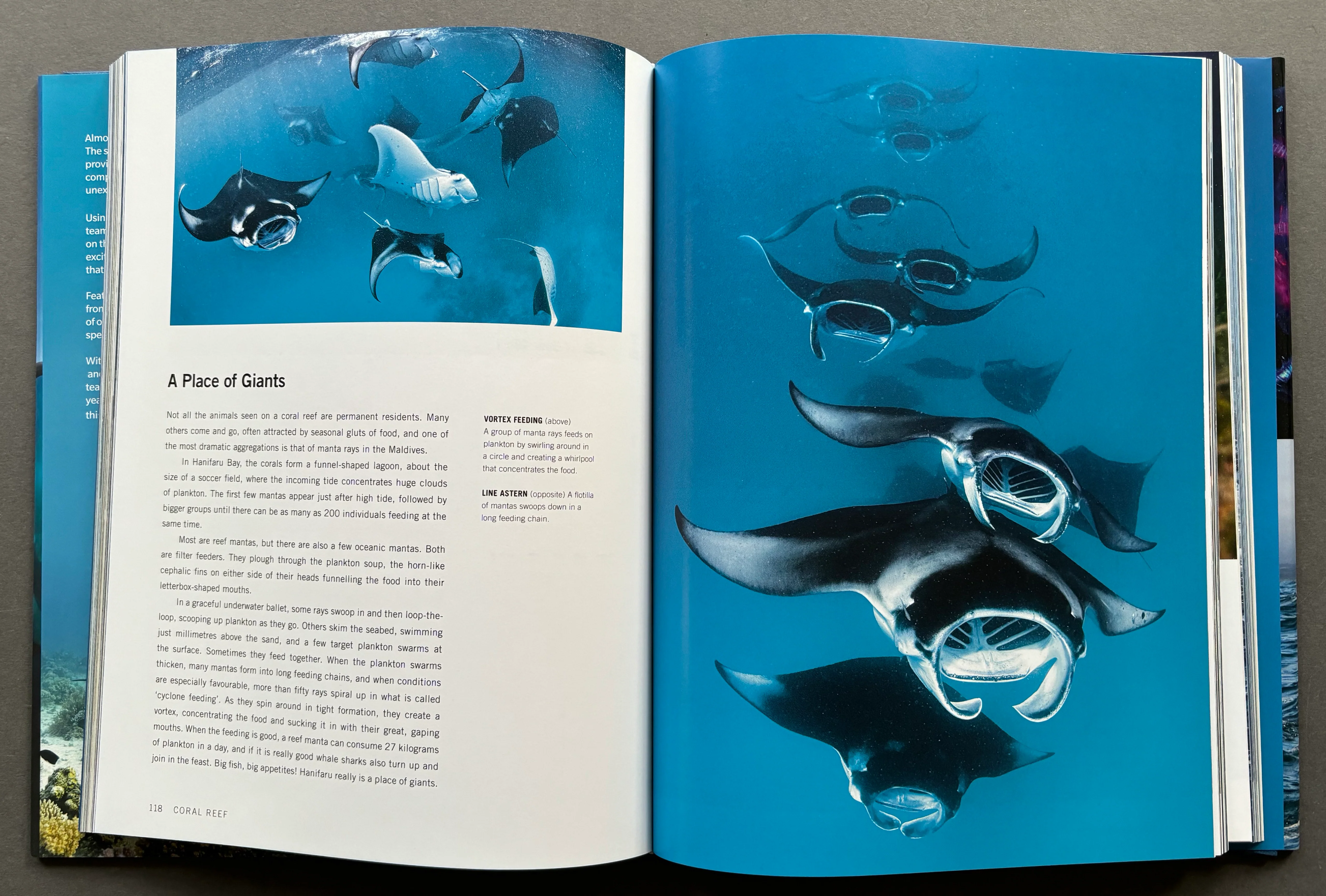 Blue Planet II - Image 4