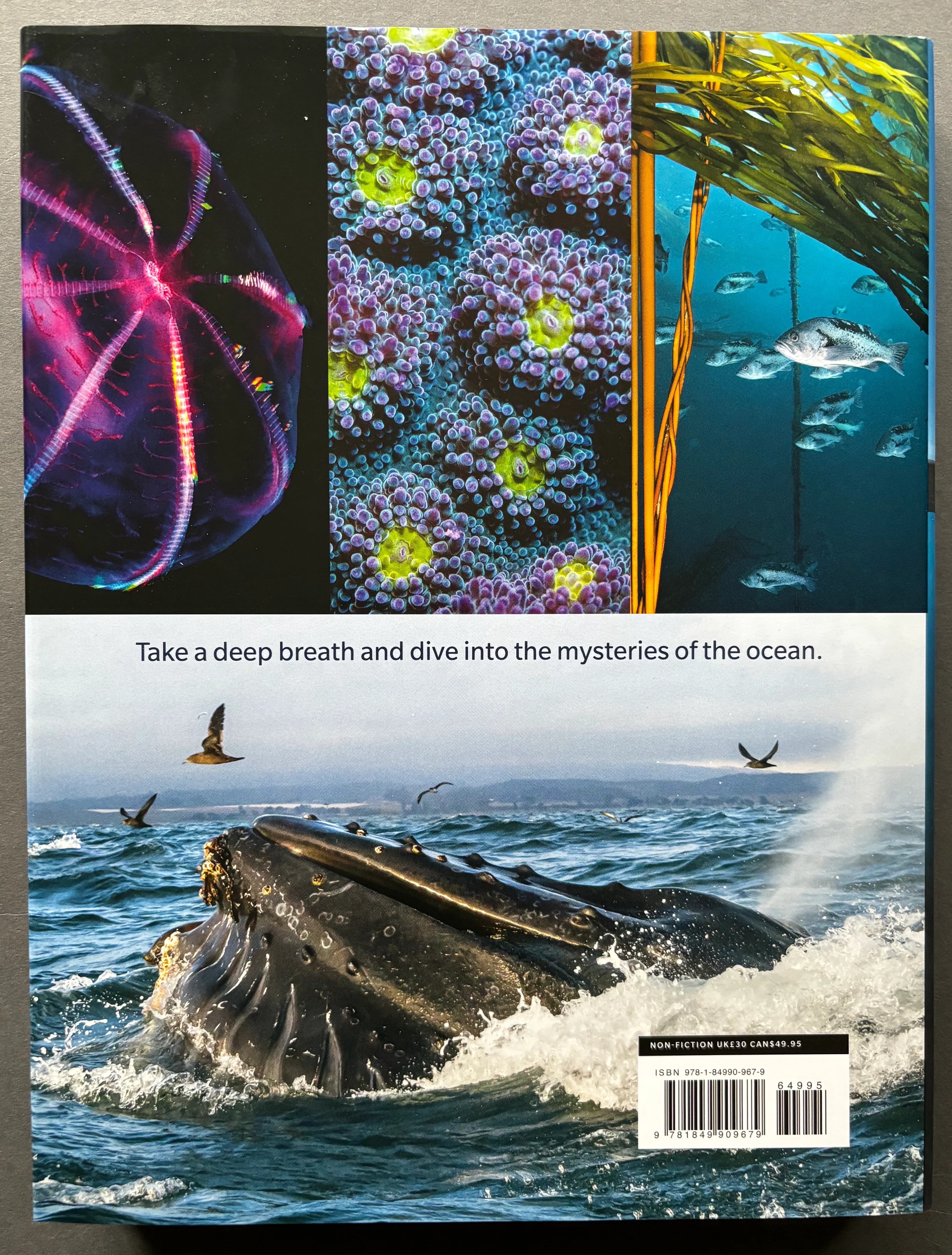 Blue Planet II - Image 7