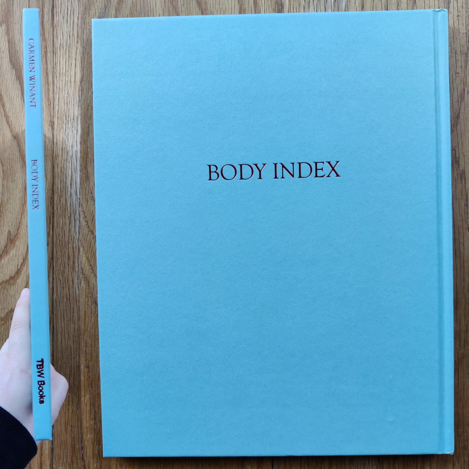 Body Index - Image 7