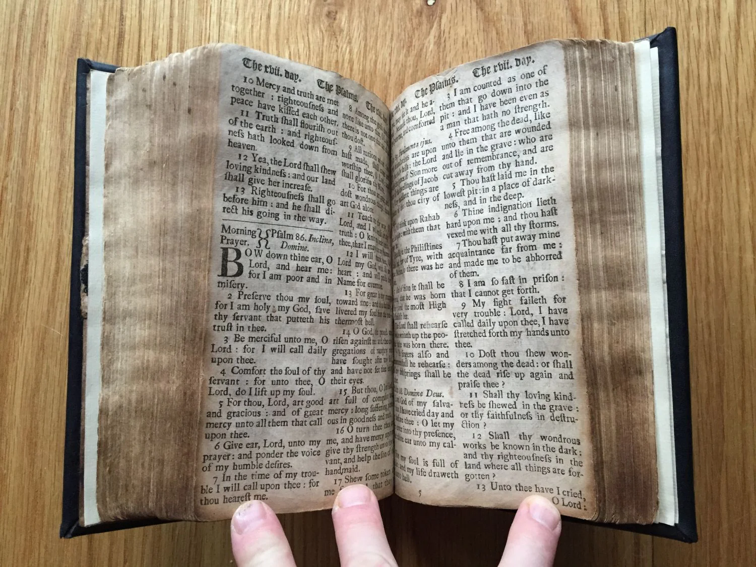 Book of Common Prayer - Image 6