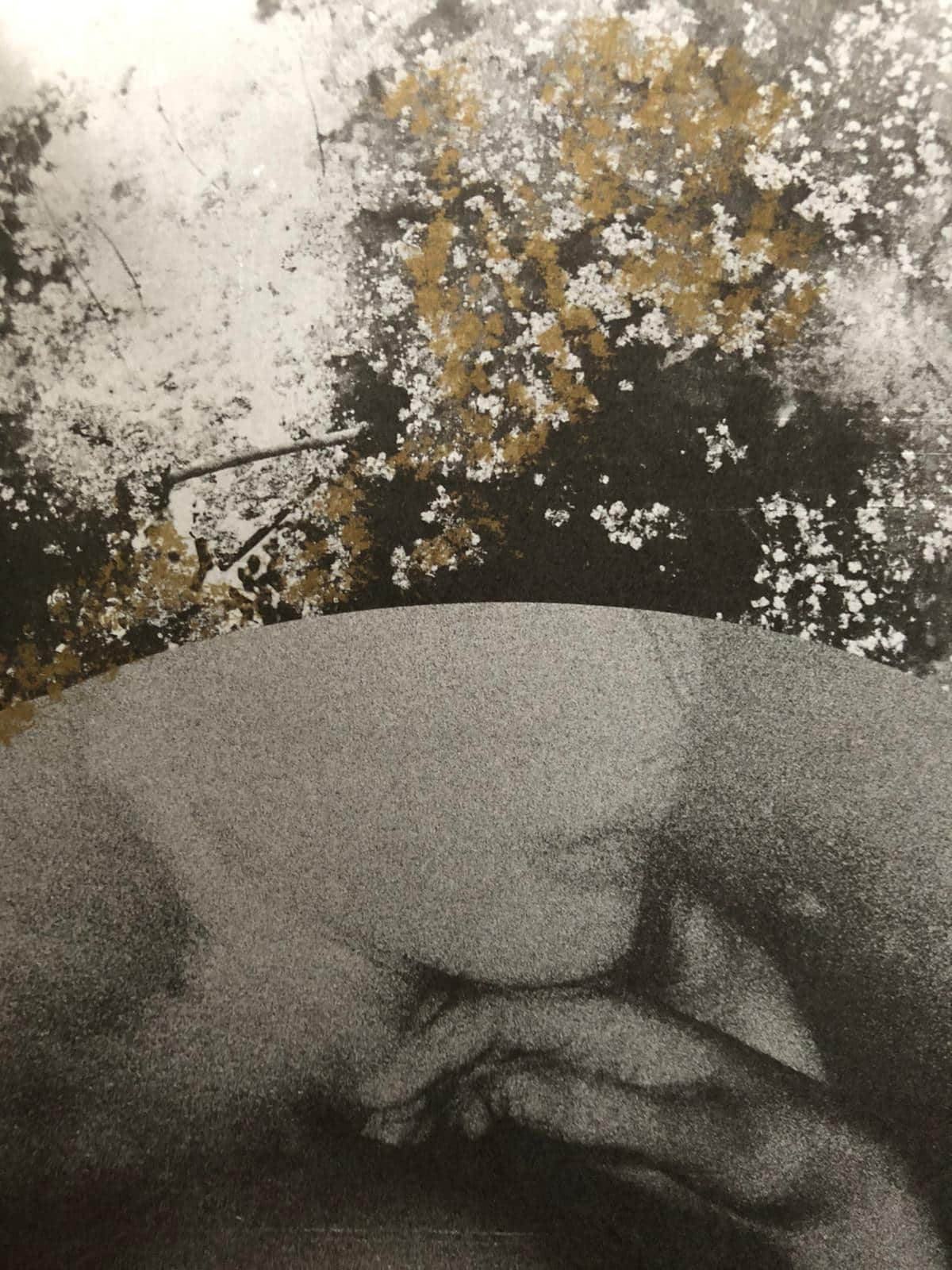 Borders of Nothingness | On the Mend - Image 2