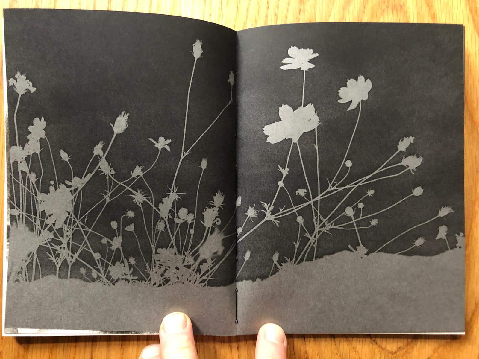 Borders of Nothingness | On the Mend - Image 3