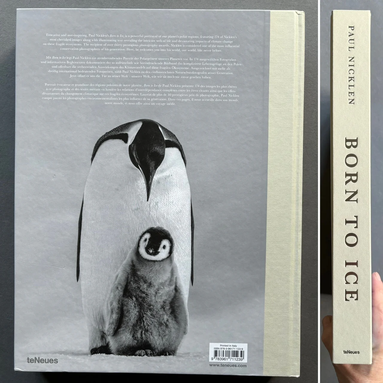 Born To Ice - Image 8