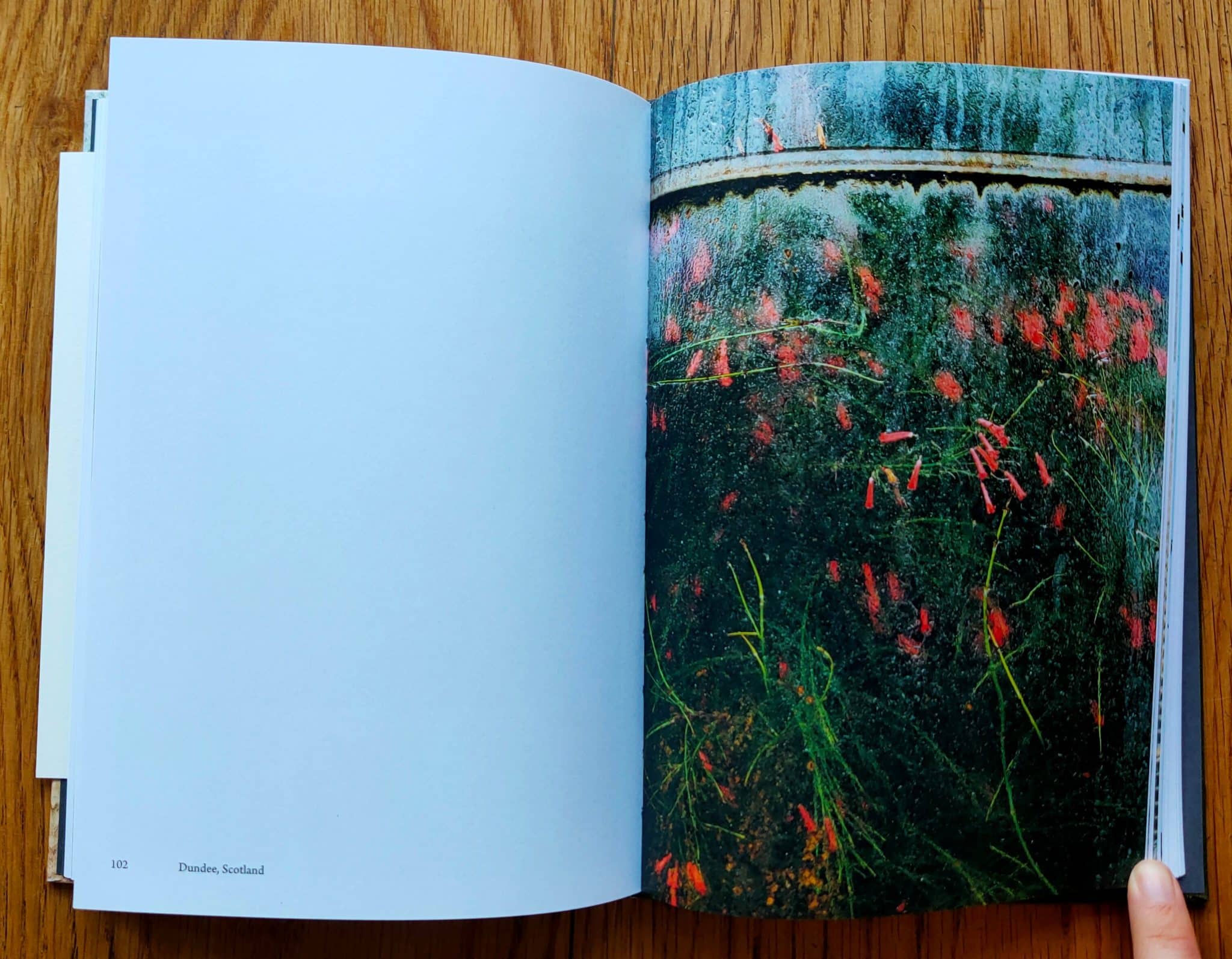 Botanical - Image 11