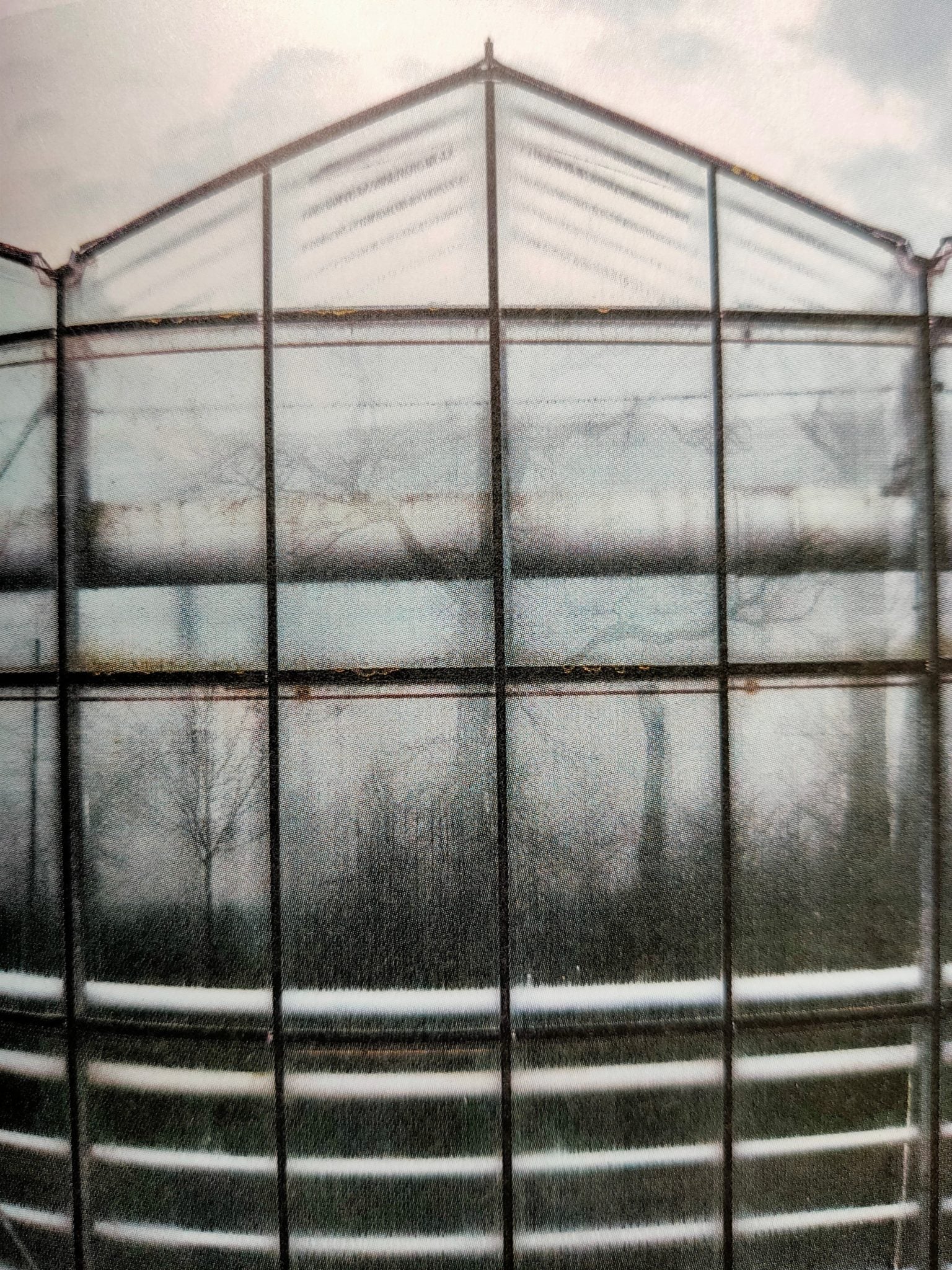 Botanical - Image 7