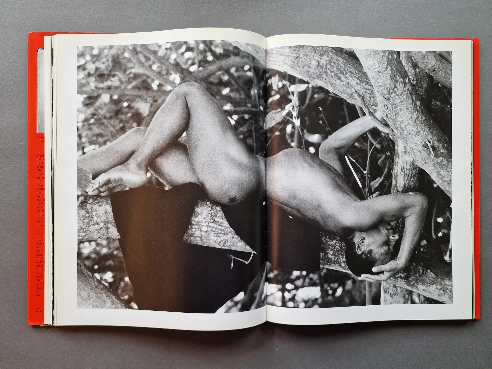 Brazil Incarnate - Image 5