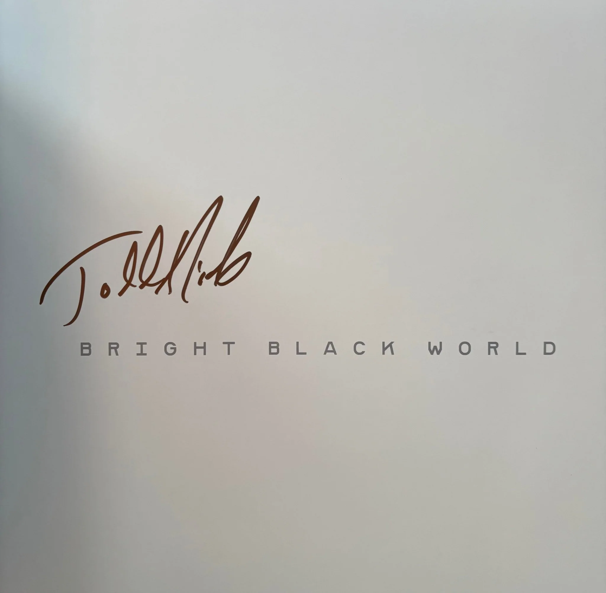 Bright Black World - Image 2