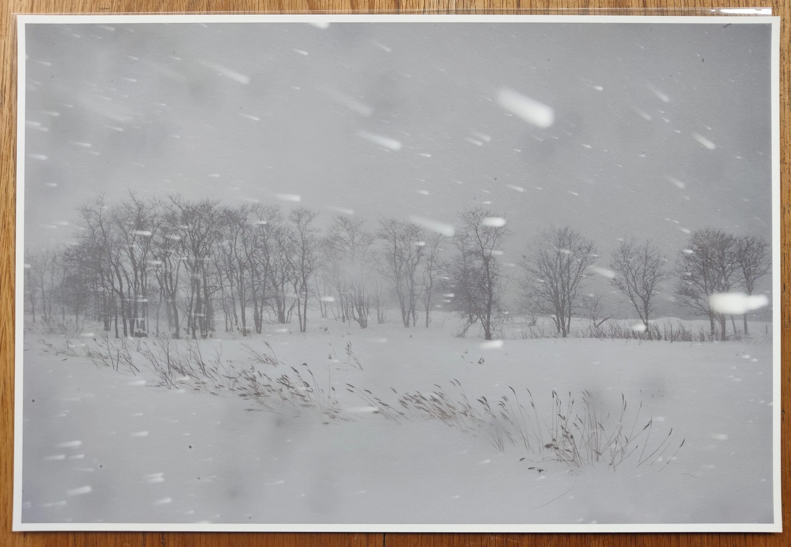Bright Black World (Deluxe Limited Edition Suite with 15 Archival Pigment Prints) - Image 7