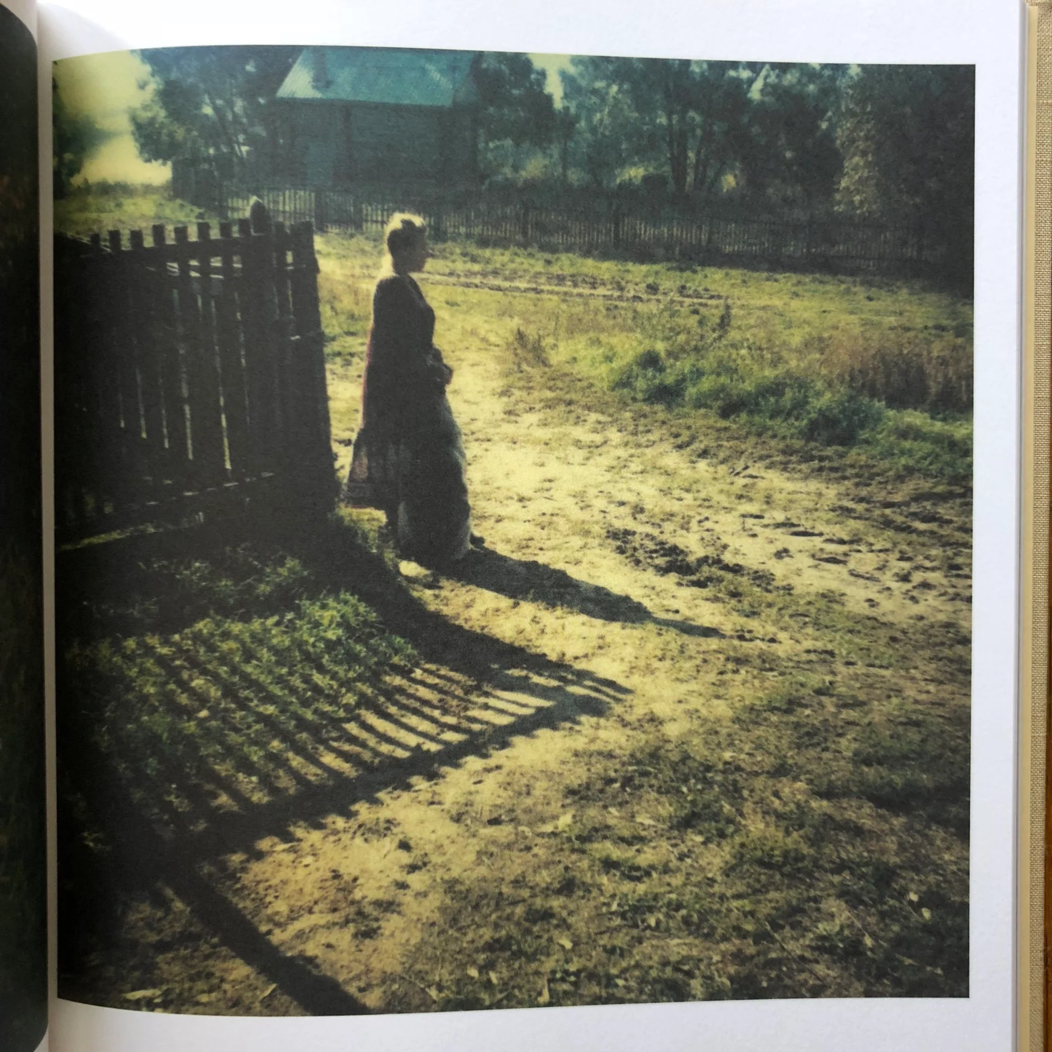 Bright, Bright day - Image 6