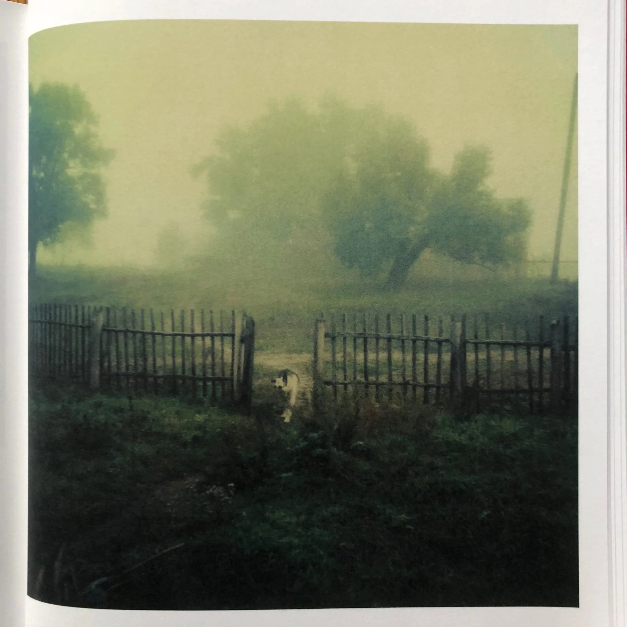 Bright, Bright Day - Russian edition - Image 9