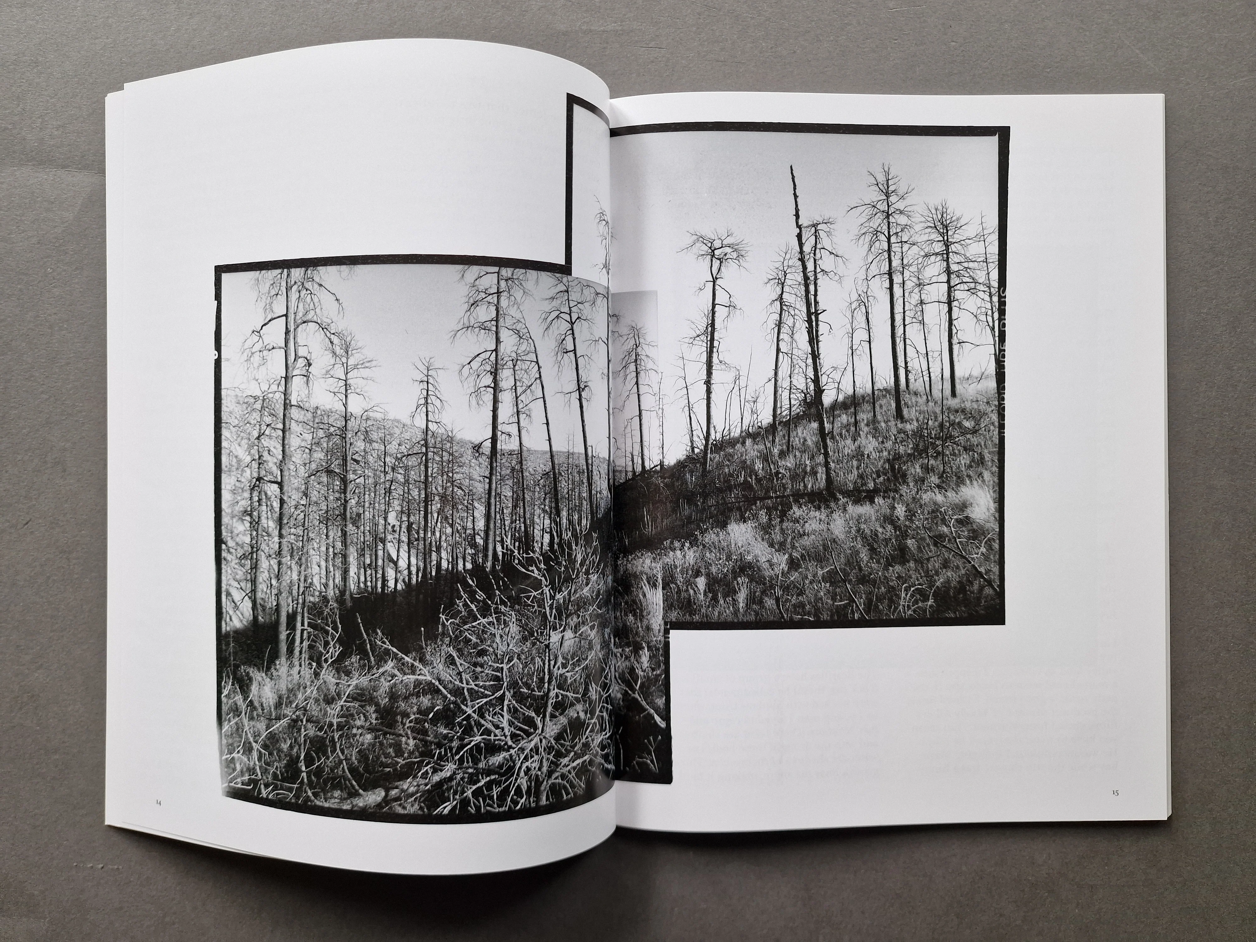 Burn Zone - Image 4