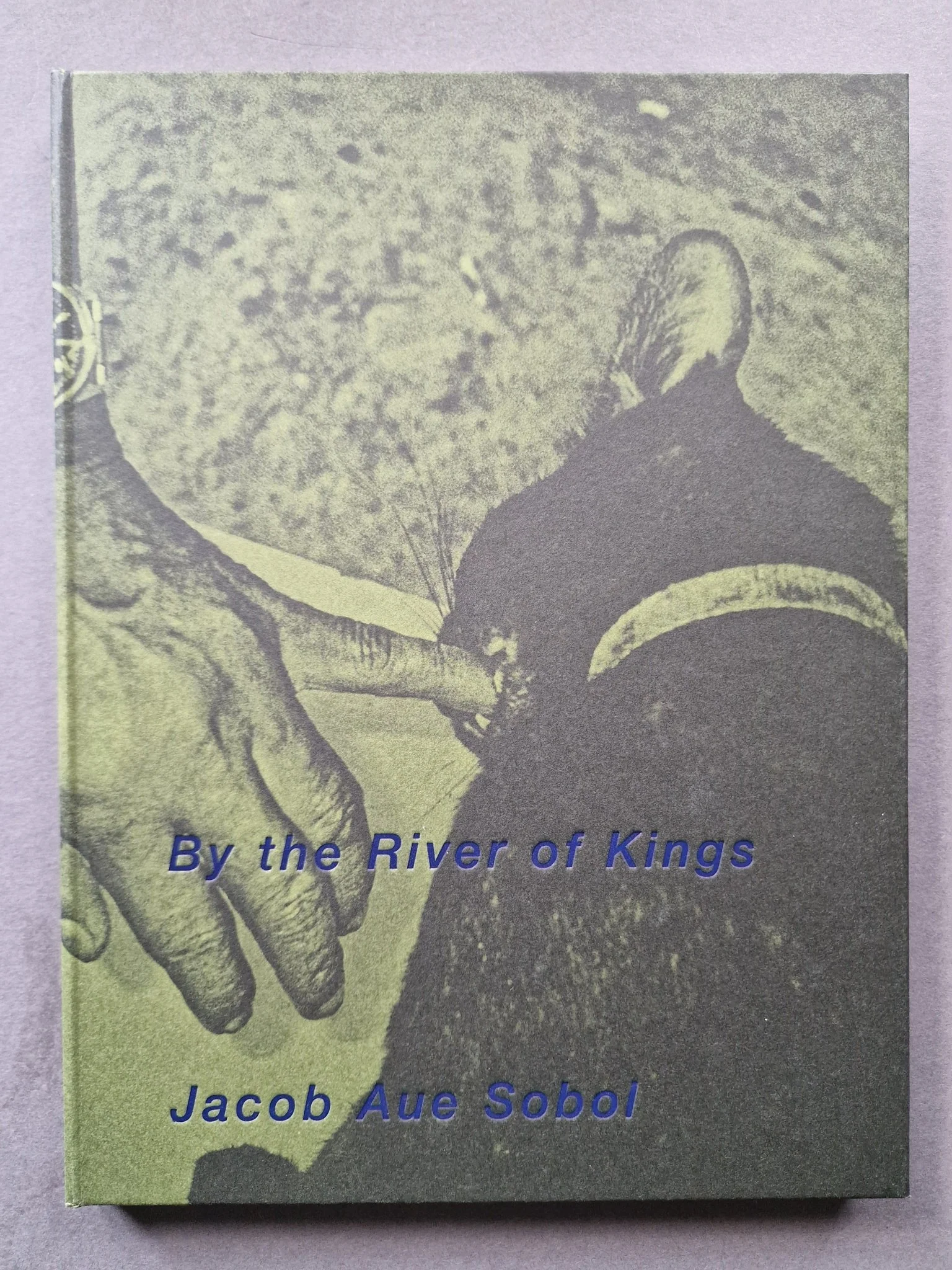 By the River of Kings (Special Edition) - Image 11