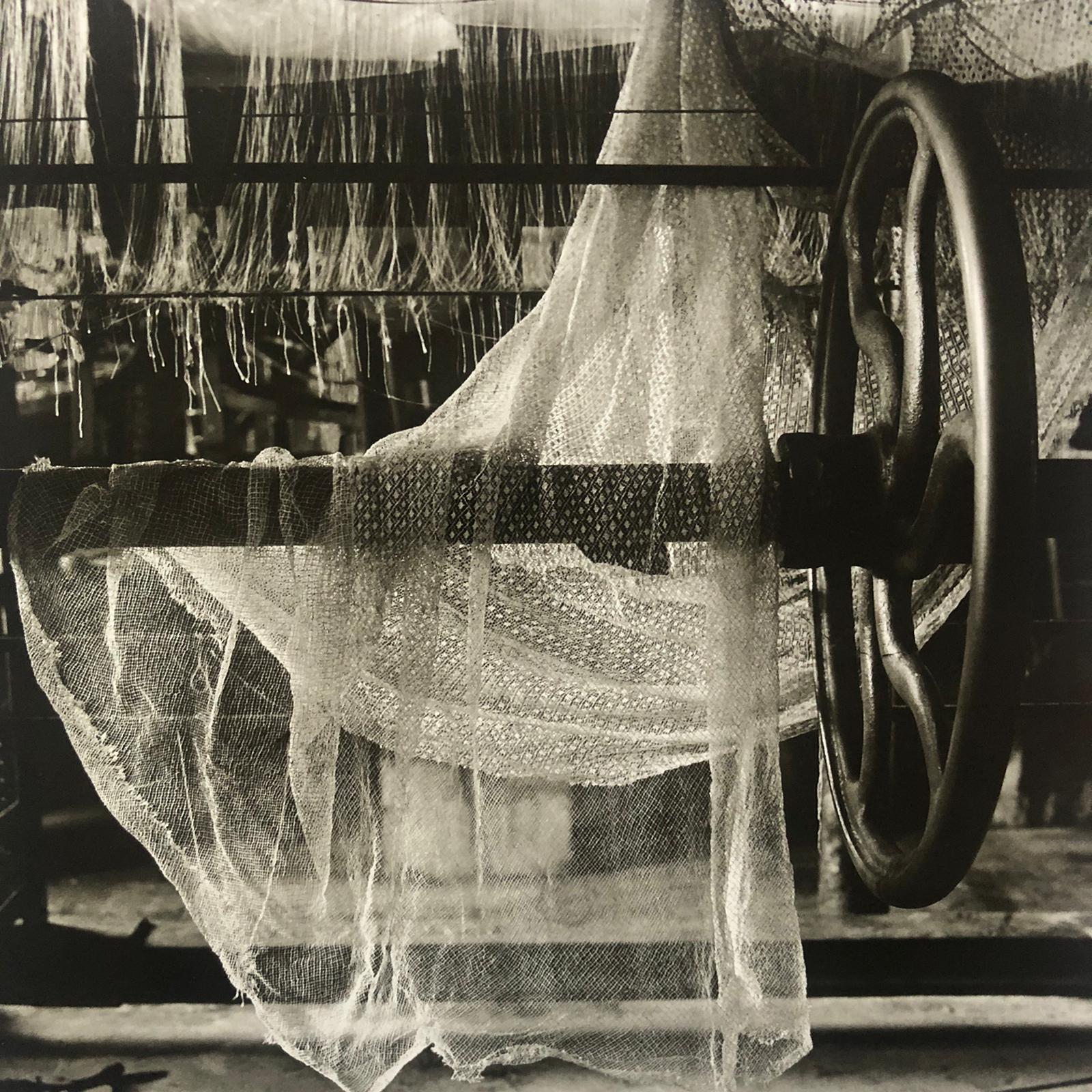 Calais Lace - Image 5