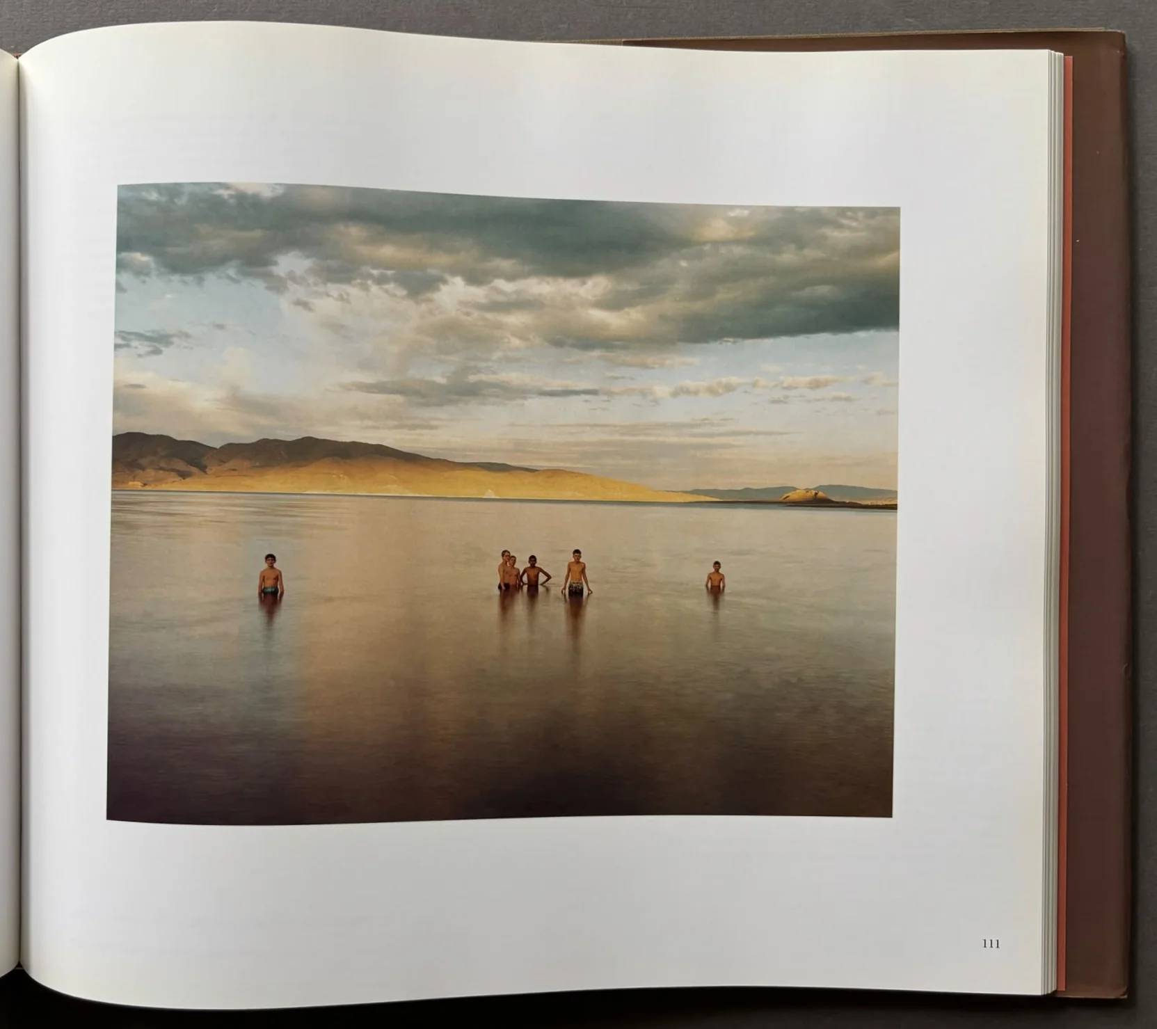 Cantos Del Desierto - Image 4