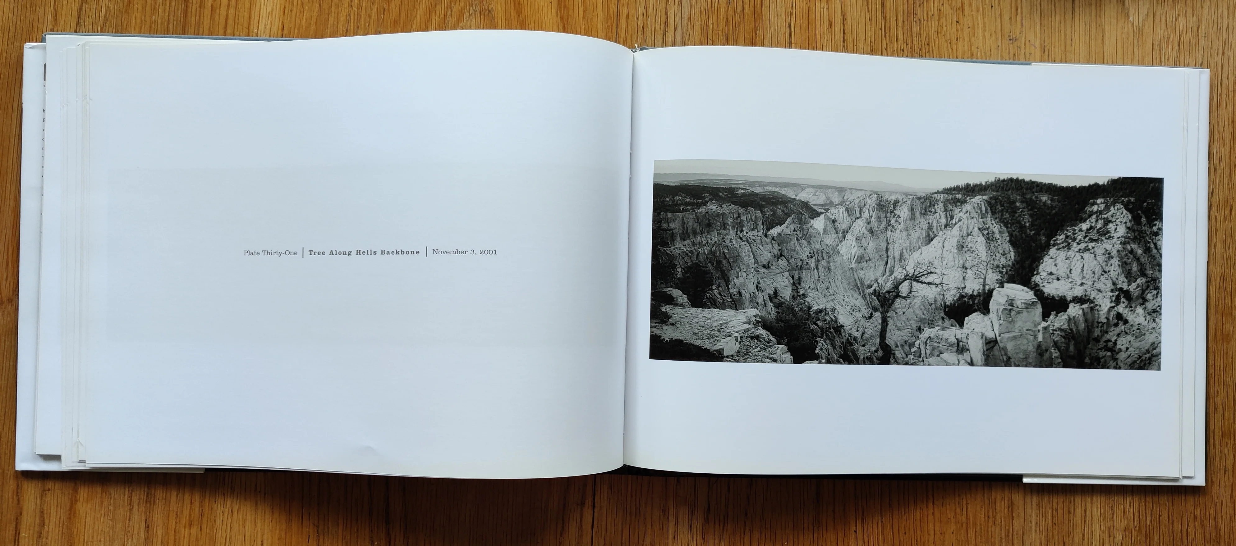 Canyonland Vision - Artist Edition - Image 7