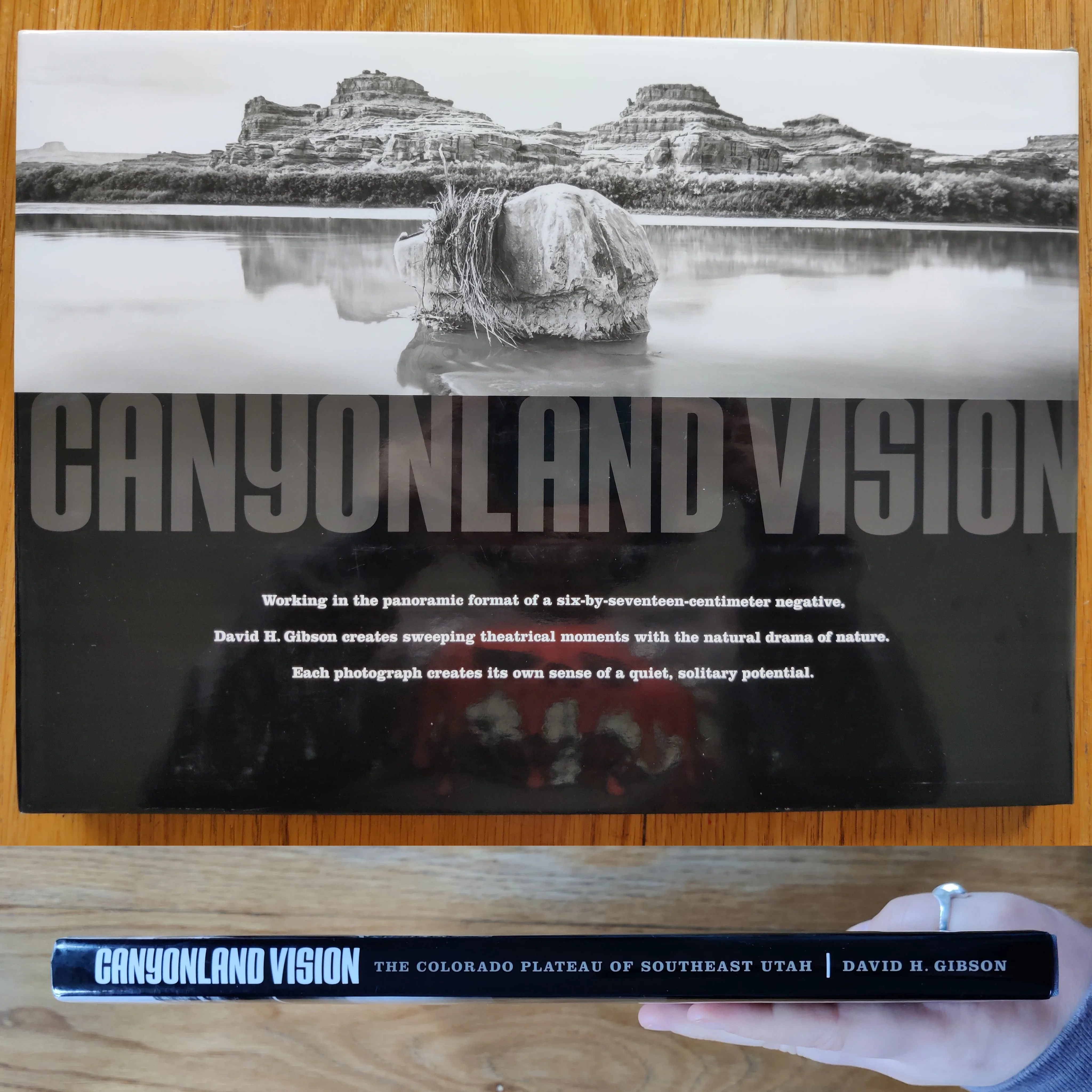 Canyonland Vision - Artist Edition - Image 9