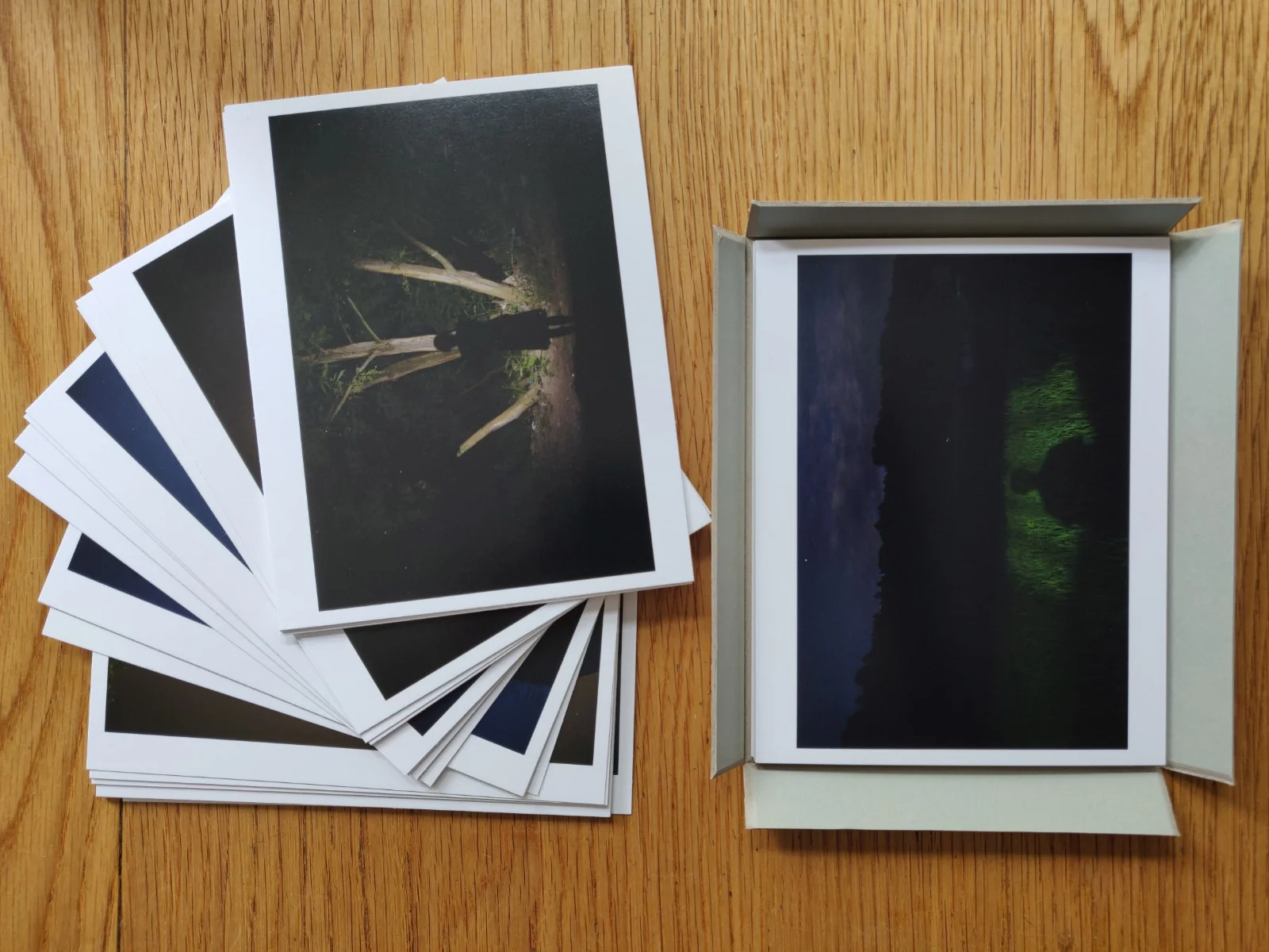 CARDLOG 01/214: To Be an Evening Breeze - Image 5