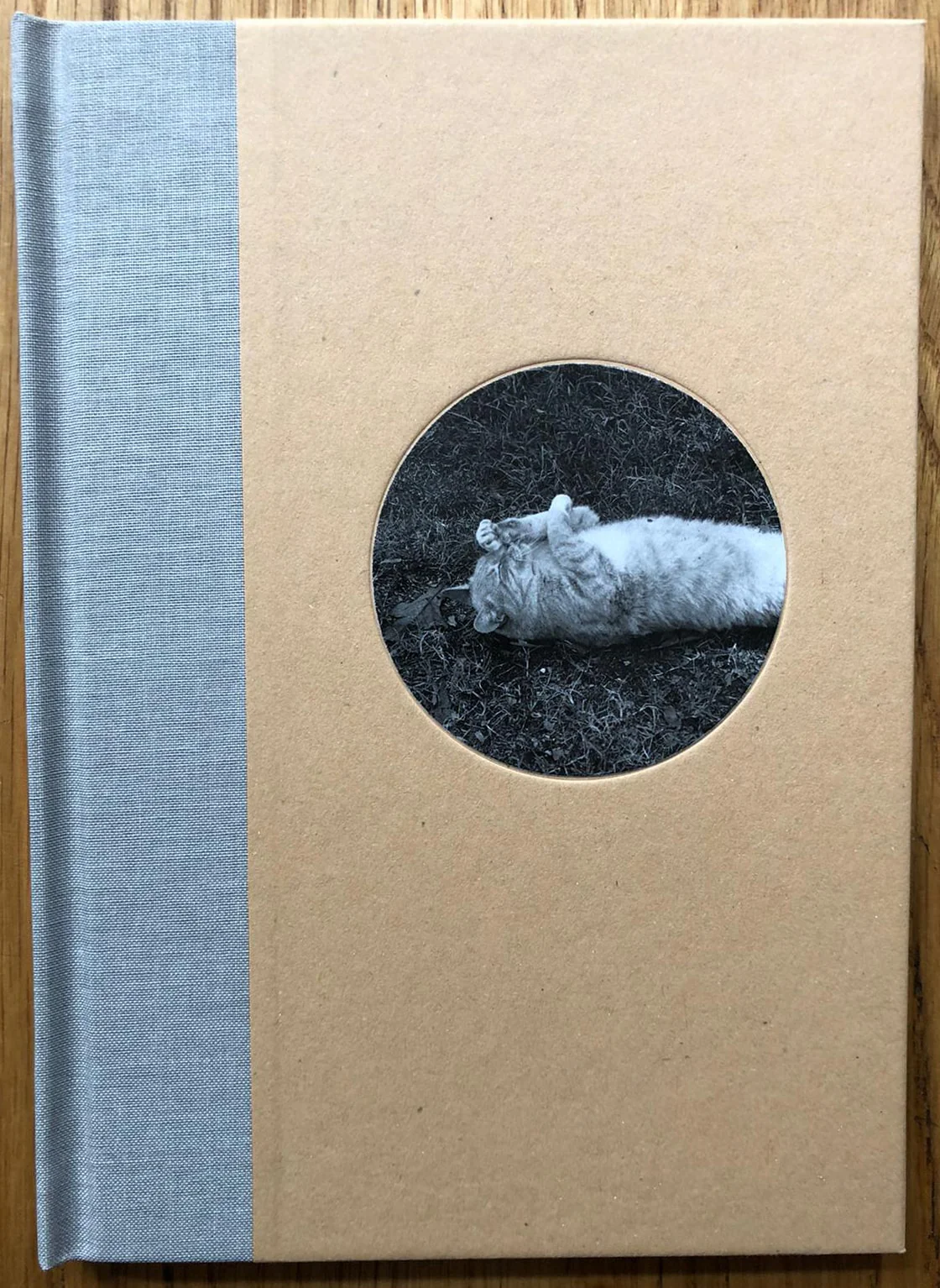 Cats (One Picture Book) - Image 2