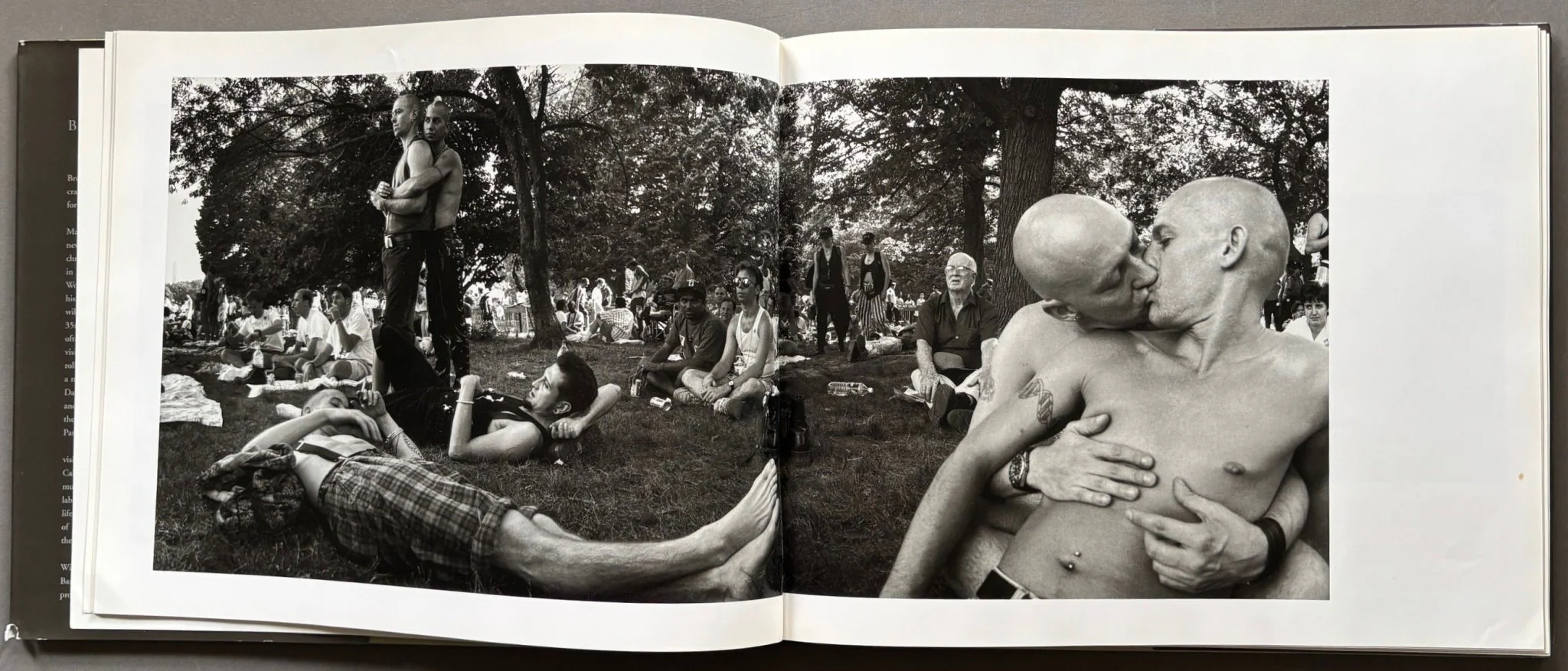 Central Park - Image 2