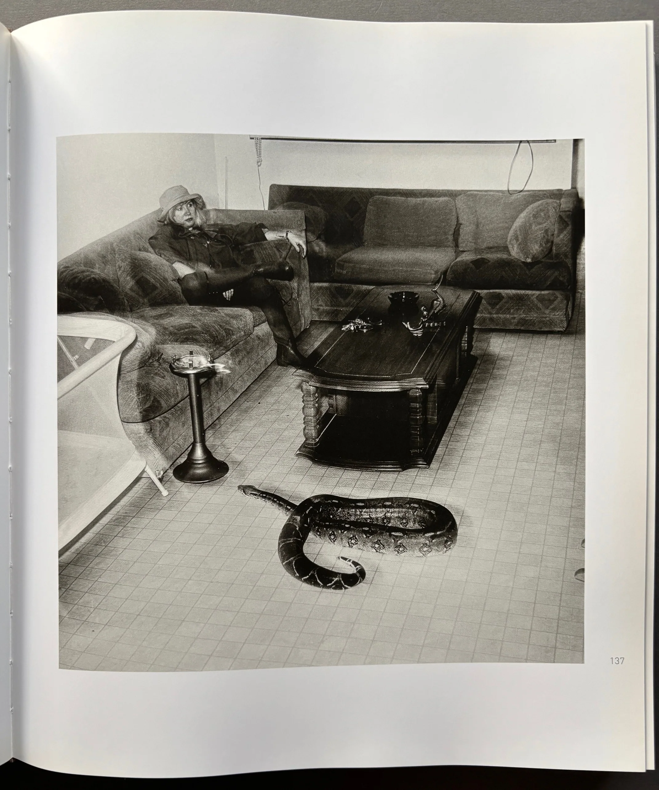 Chapalingas - Image 3