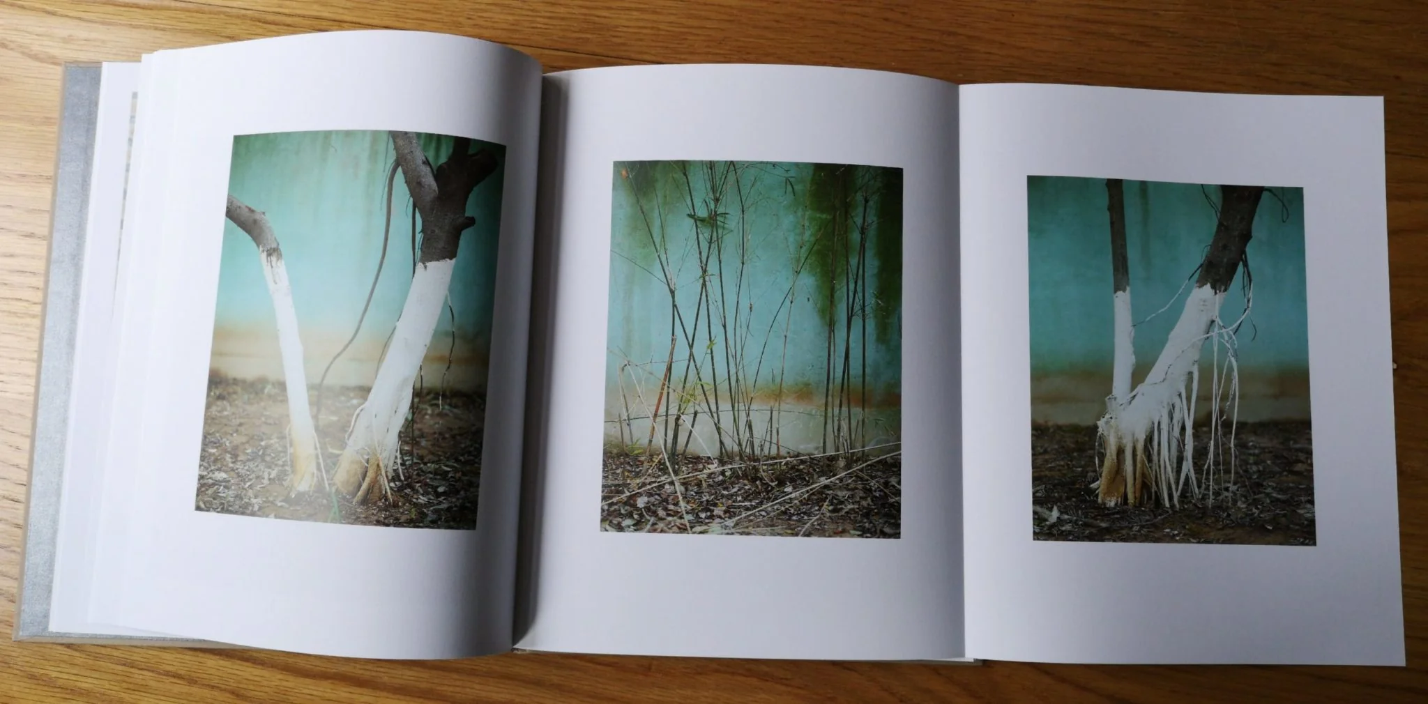 China Dream - Image 7